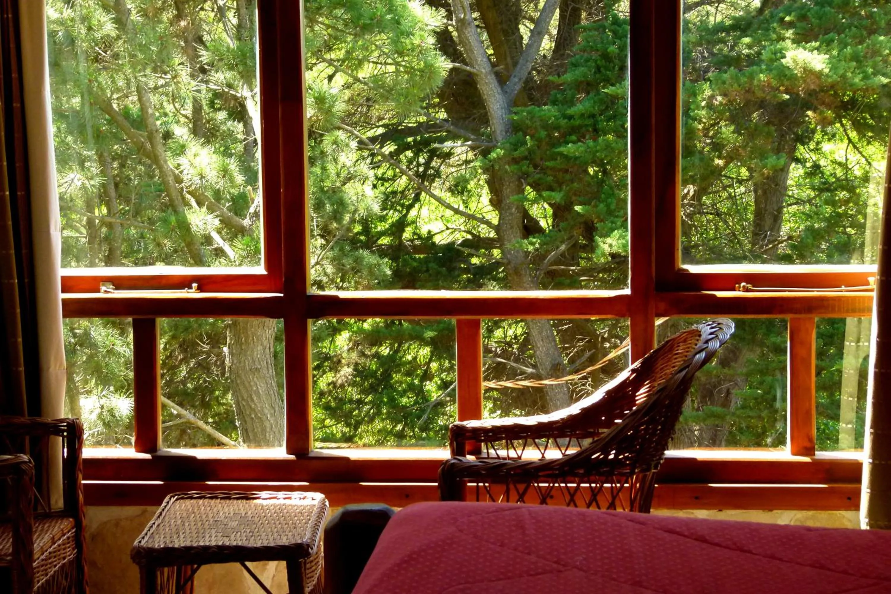 Garden view in Hostería y Cabañas Altamar De Las Pampas