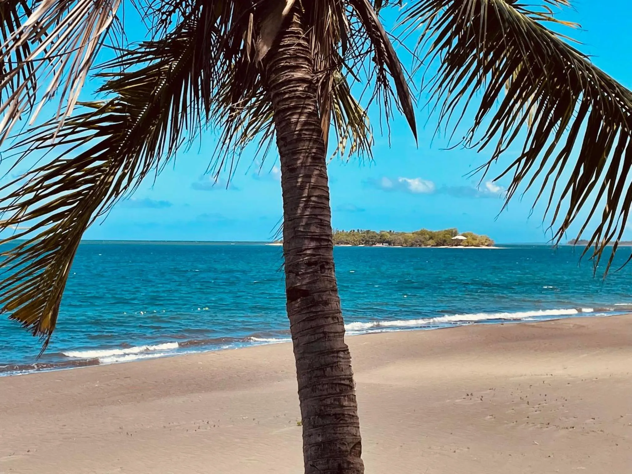 Sunbloom Beachfront Hotel and Restaurant Zambales