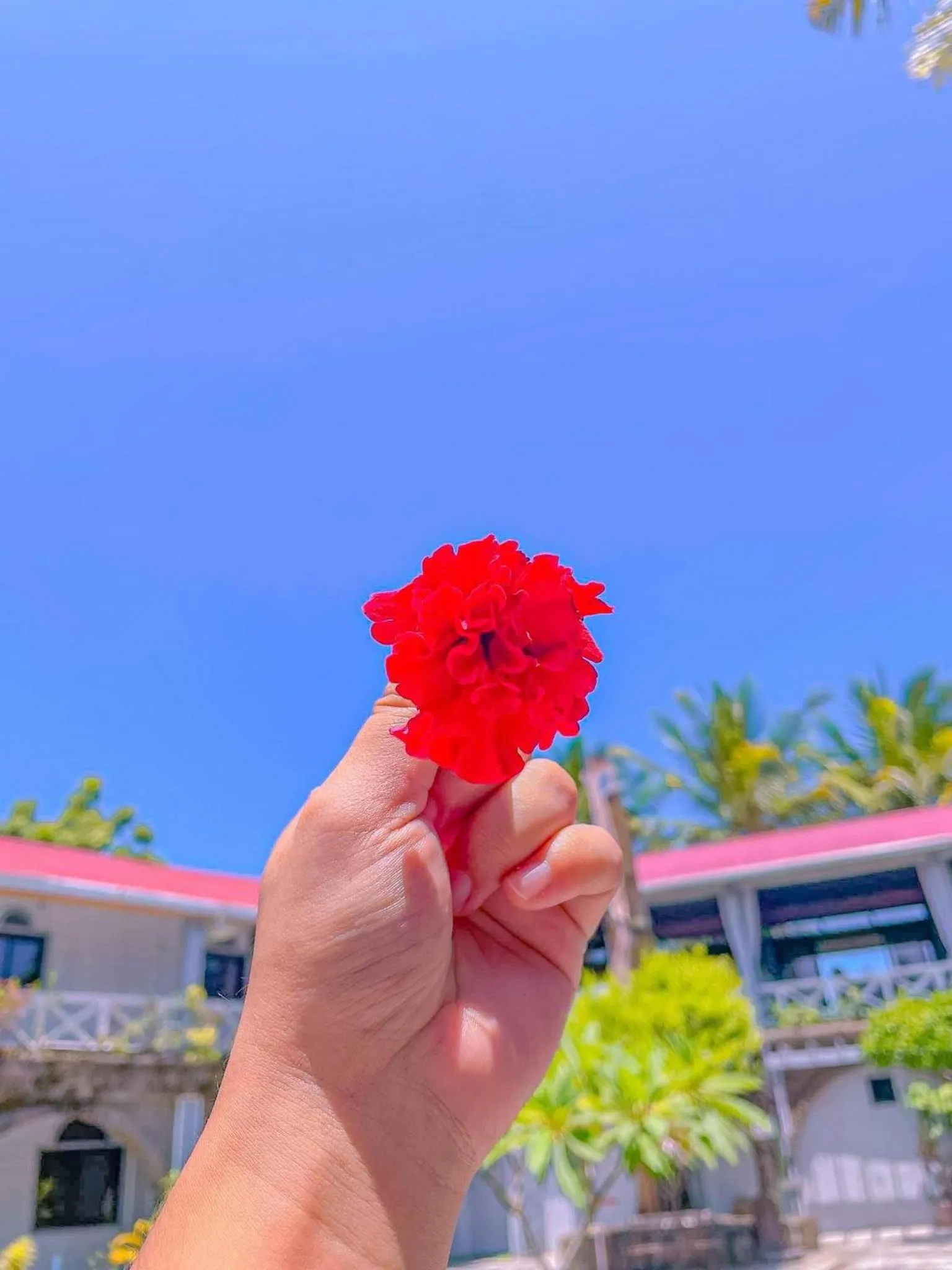 Sunbloom Beachfront Hotel and Restaurant Zambales