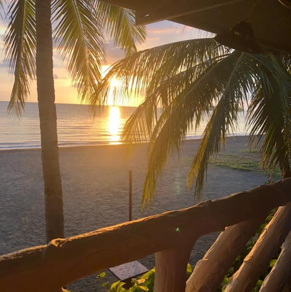Sunbloom Beachfront Hotel and Restaurant Zambales
