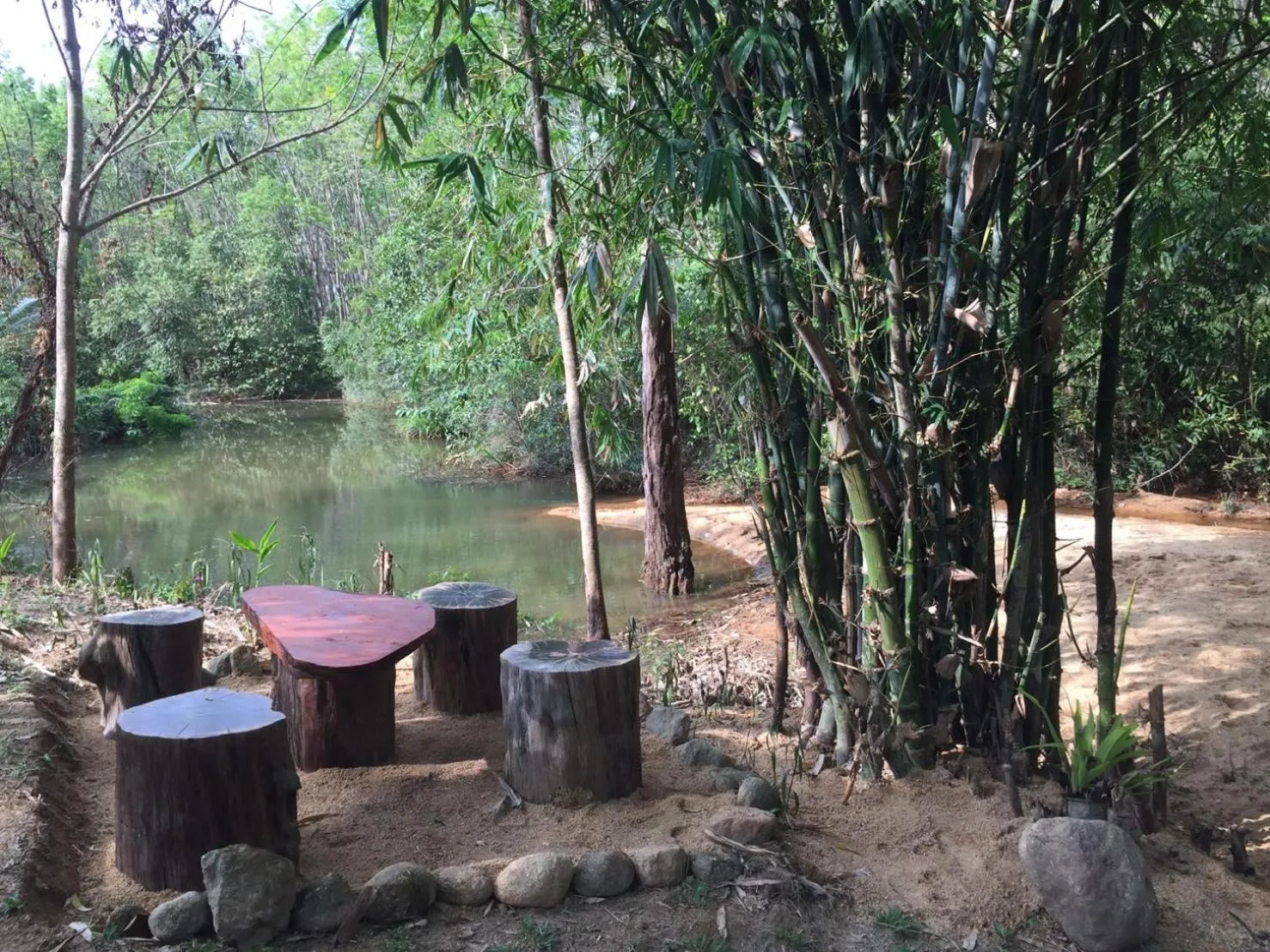 Garden in Baansuan Suksangob Farm Stay