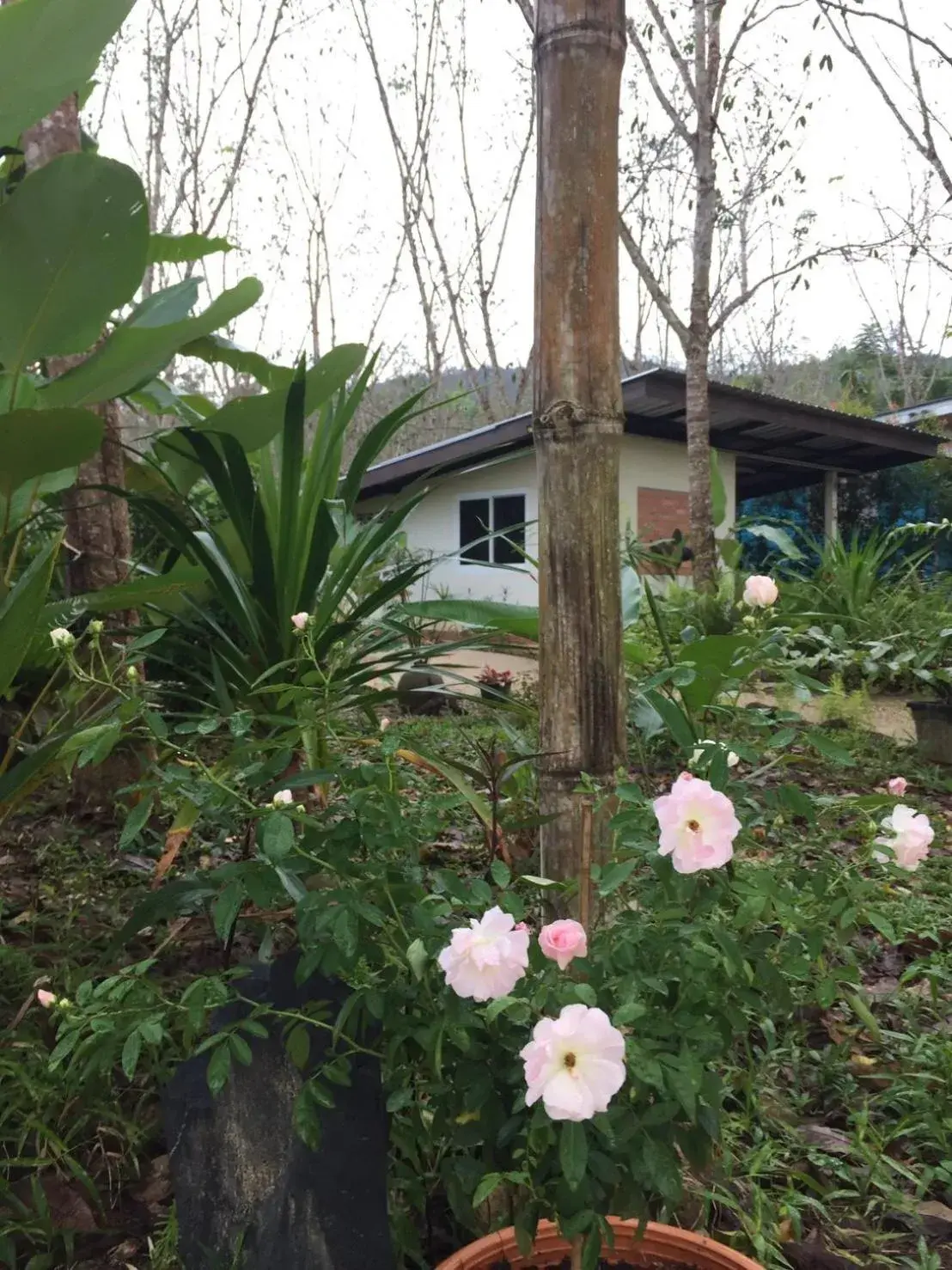 Property building in Baansuan Suksangob Farm Stay Property building in Baansuan Suksangob Farm Stay