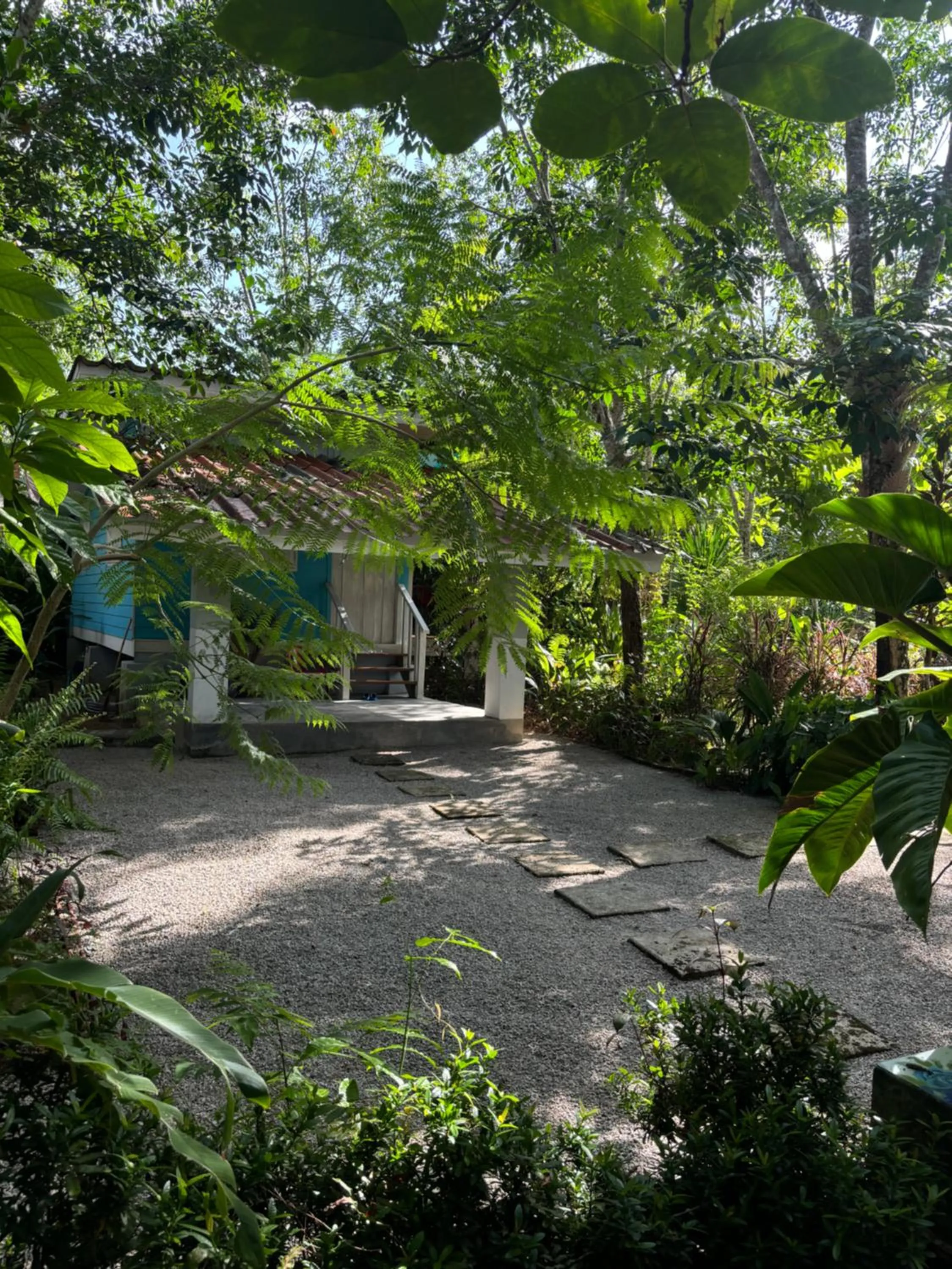 Garden view in Baansuan Suksangob Farm Stay