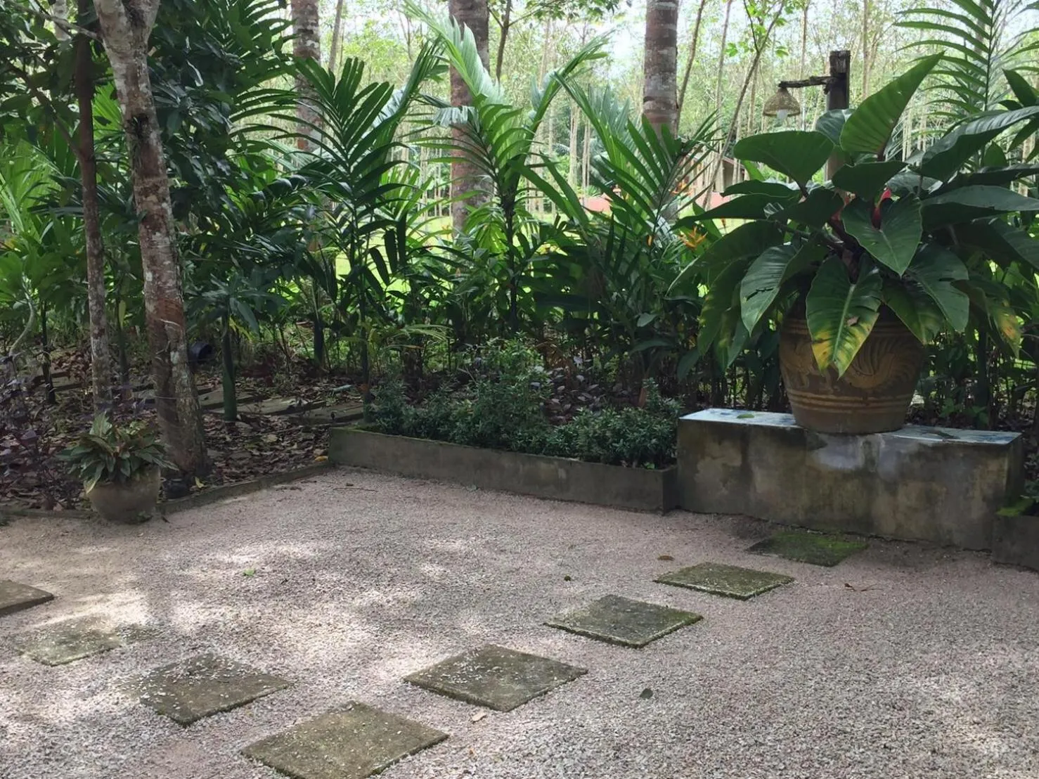 Garden in Baansuan Suksangob Farm Stay