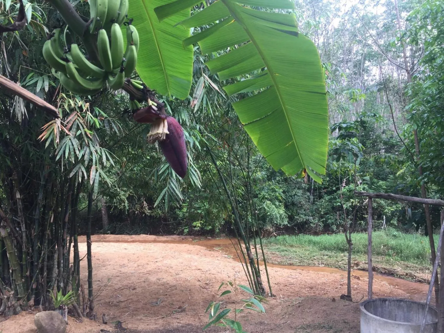 River view in Baansuan Suksangob Farm Stay