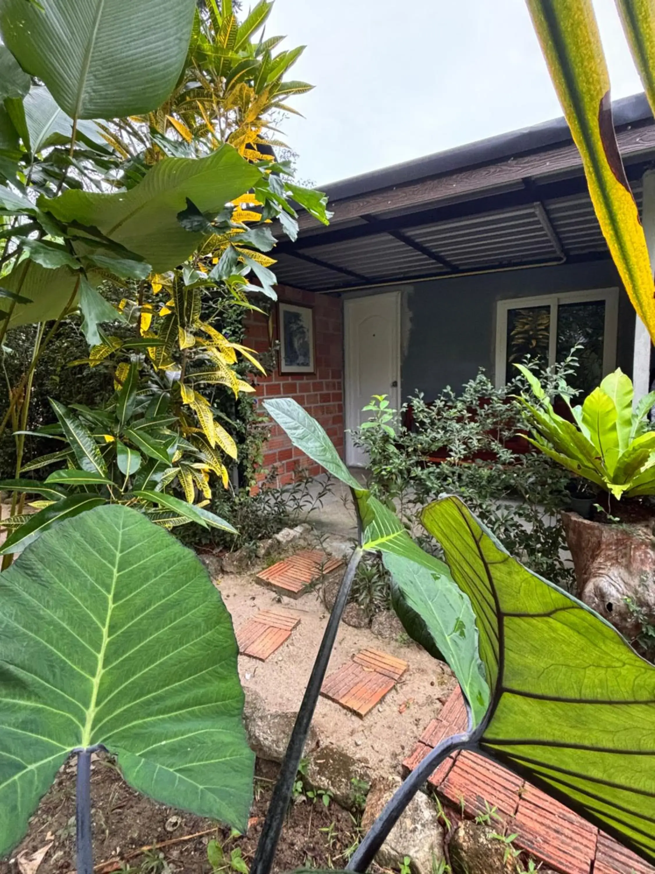 One-Bedroom Cottage in Baansuan Suksangob Farm Stay One-Bedroom Cottage in Baansuan Suksangob Farm Stay