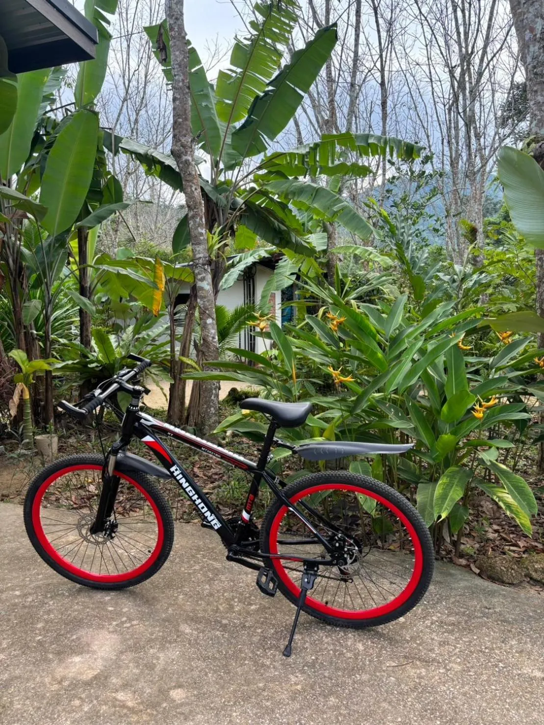 Cycling in Baansuan Suksangob Farm Stay