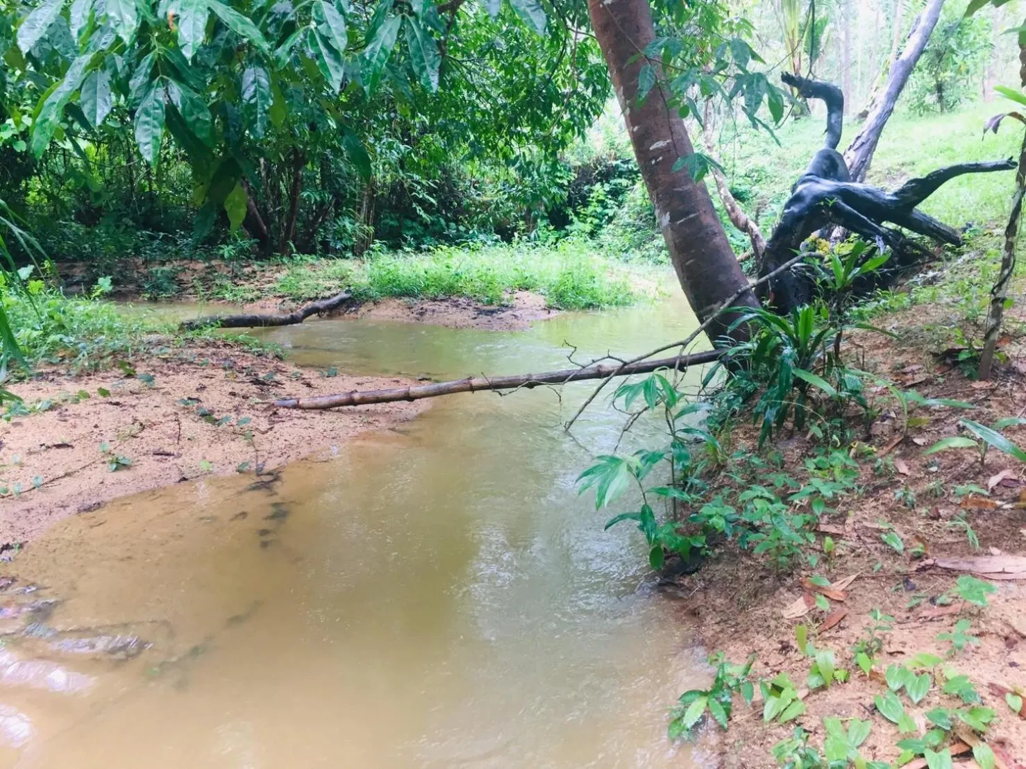 Inner courtyard view in Baansuan Suksangob Farm Stay