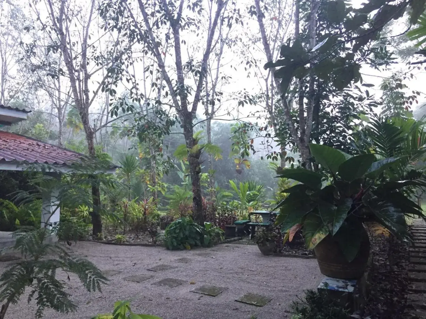 Garden view in Baansuan Suksangob Farm Stay Garden view in Baansuan Suksangob Farm Stay