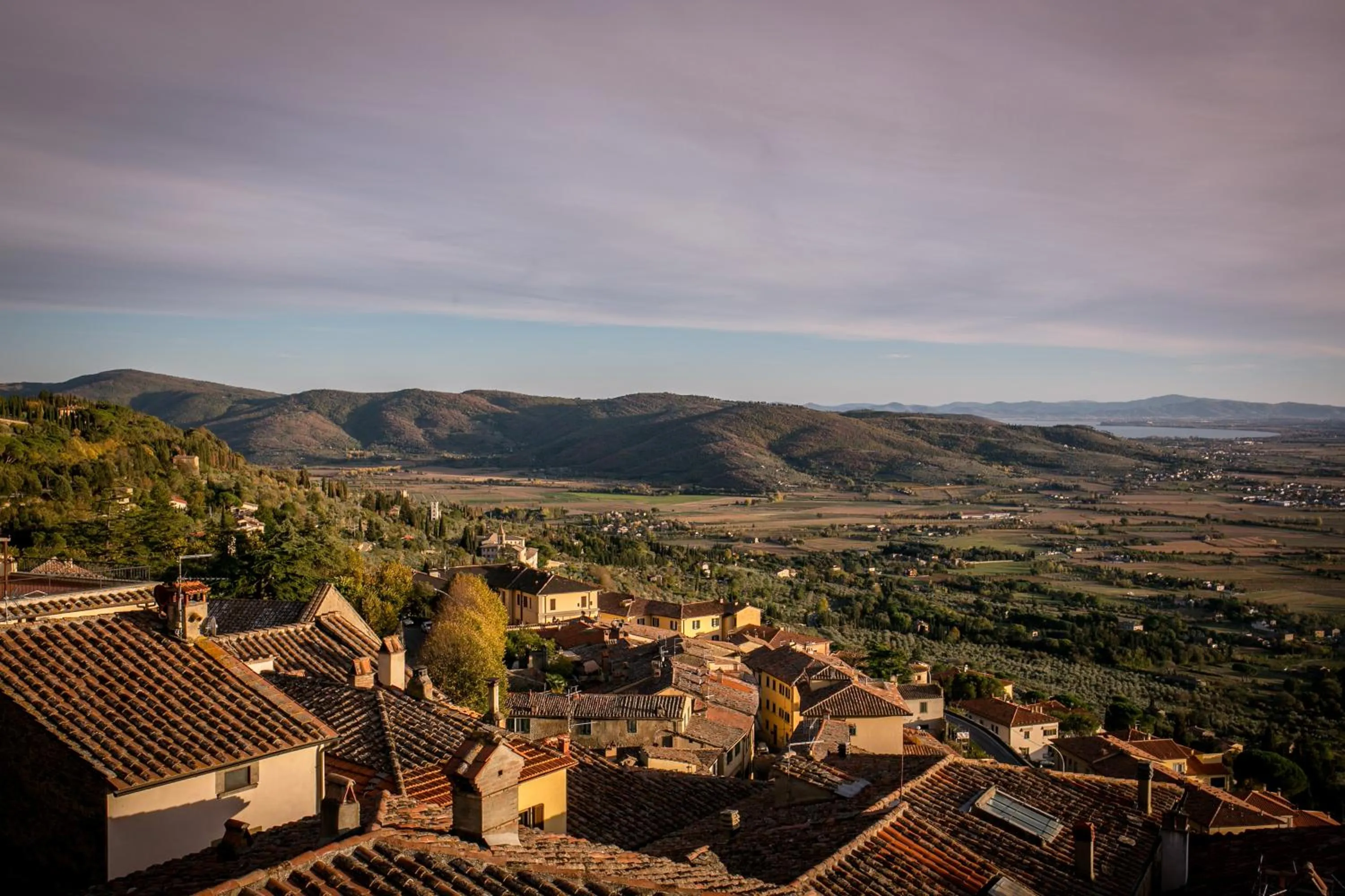 Panorama