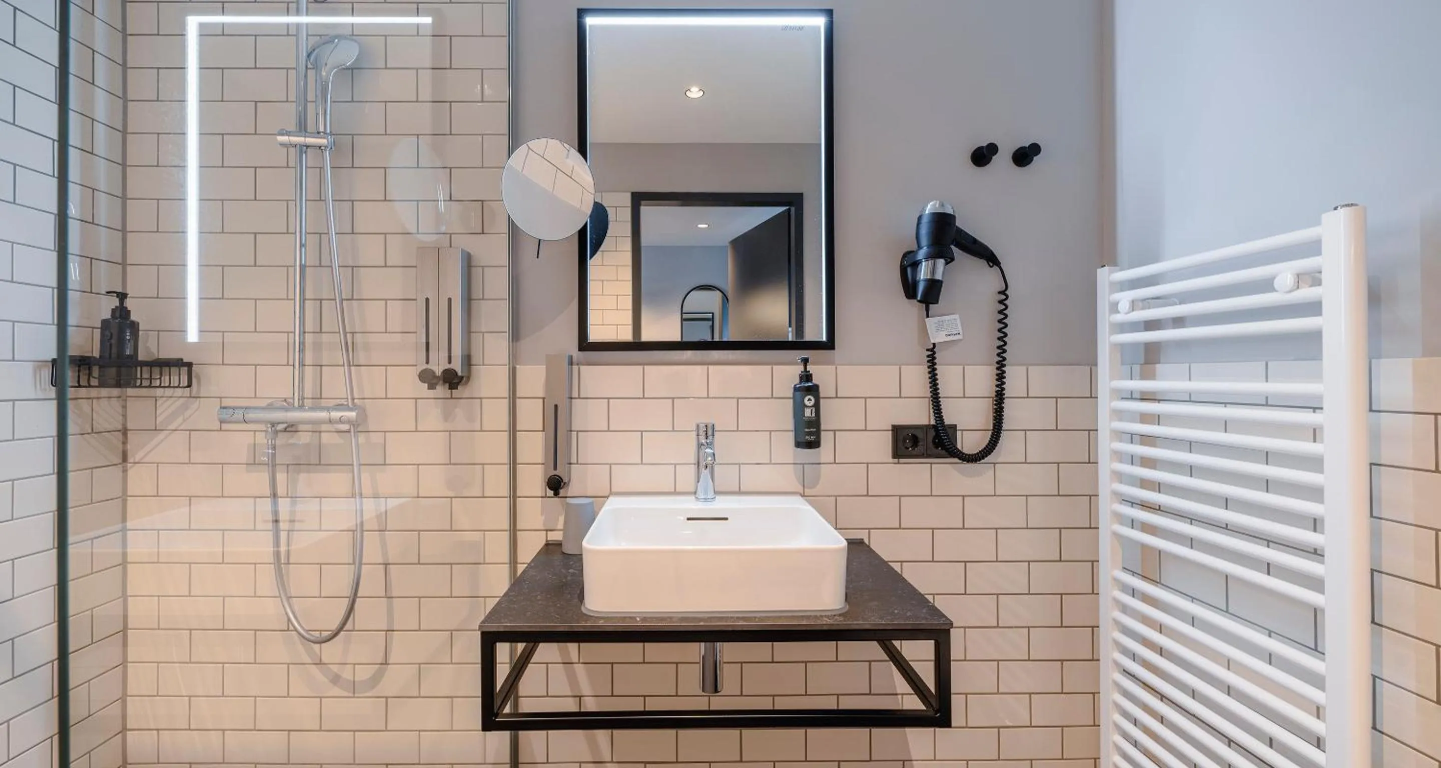 Shower in PLAZA INN Ulm