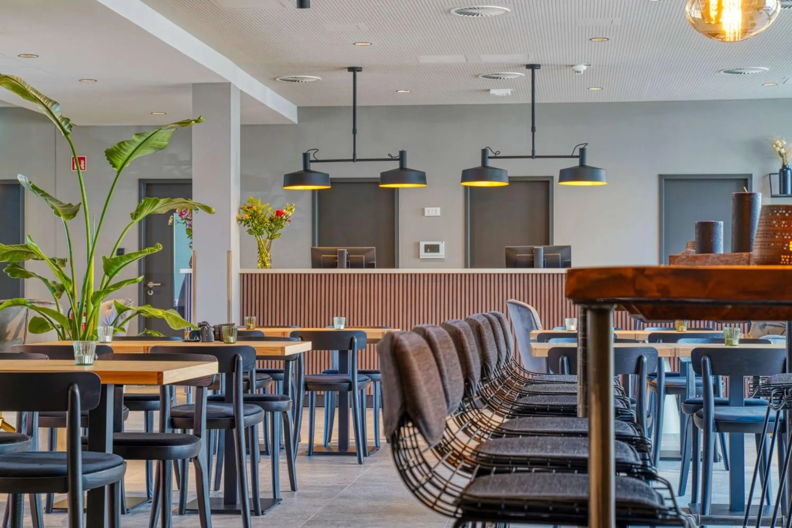 Restaurant/places to eat in PLAZA INN Ulm Restaurant/places to eat in PLAZA INN Ulm