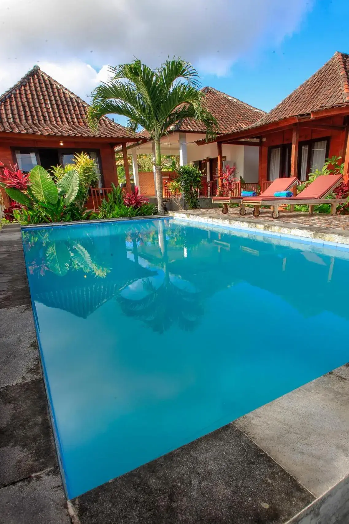 THE DARA HILL THE DARA HILL