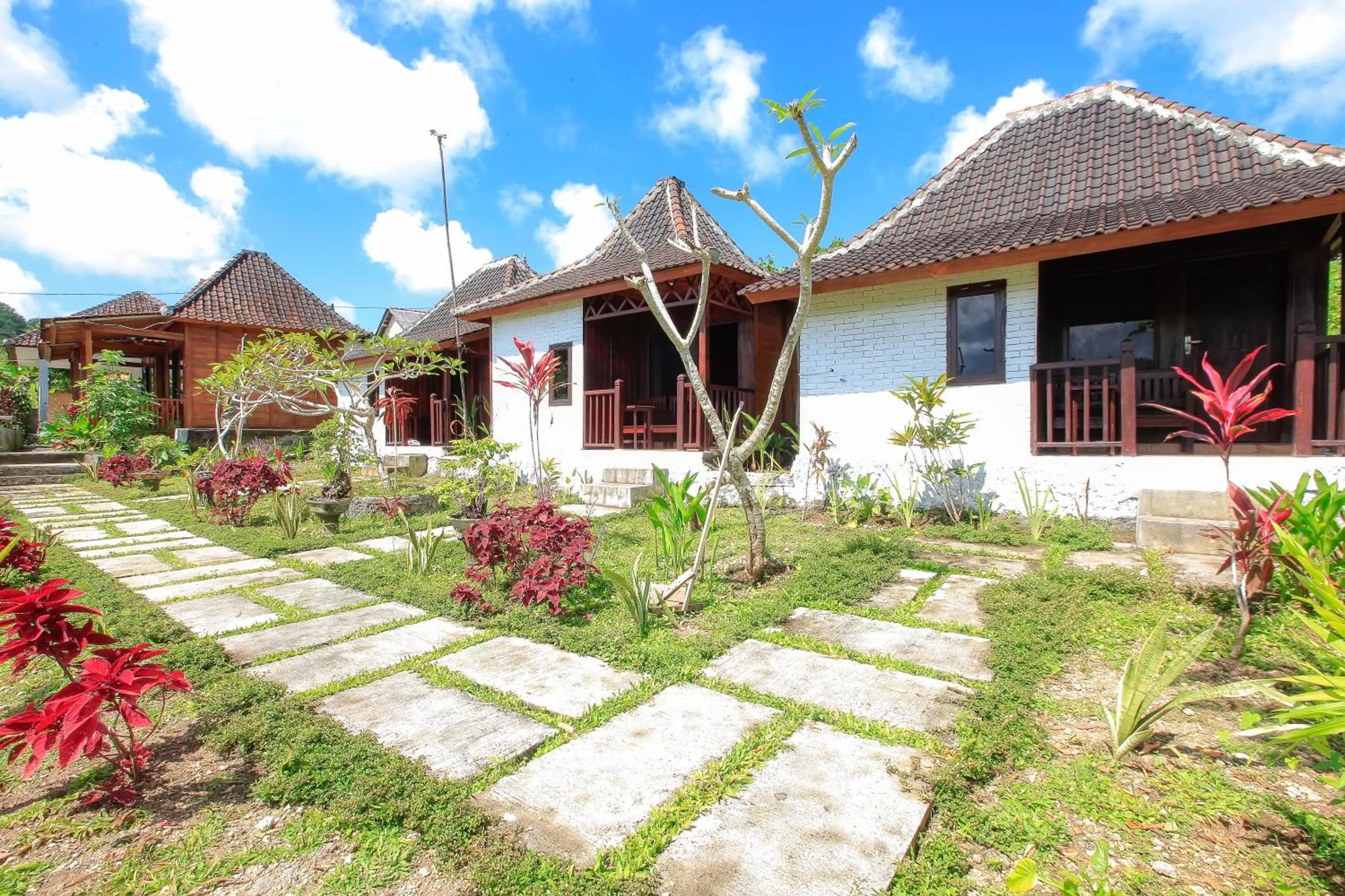 Garden view in THE DARA HILL