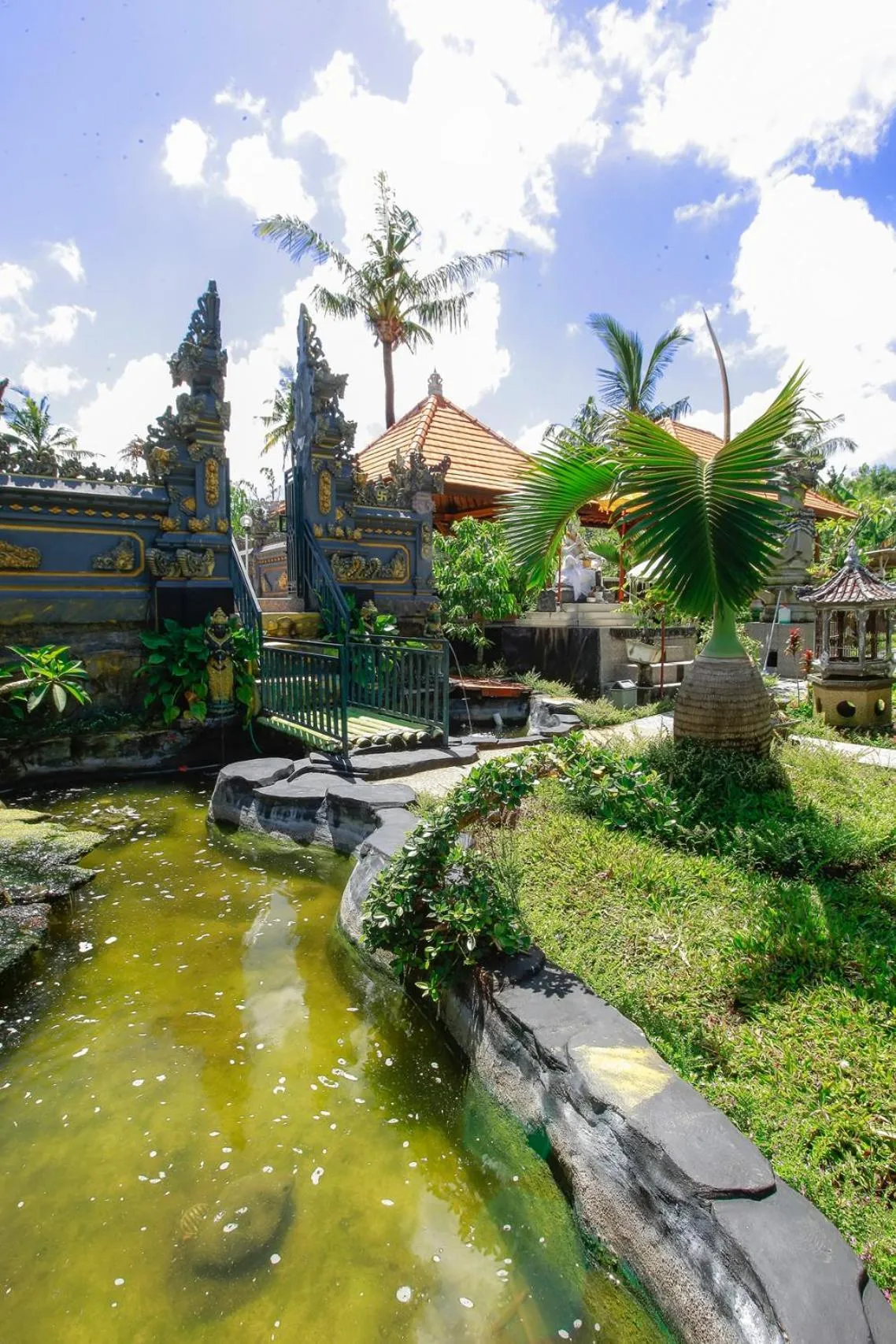 Garden in THE DARA HILL