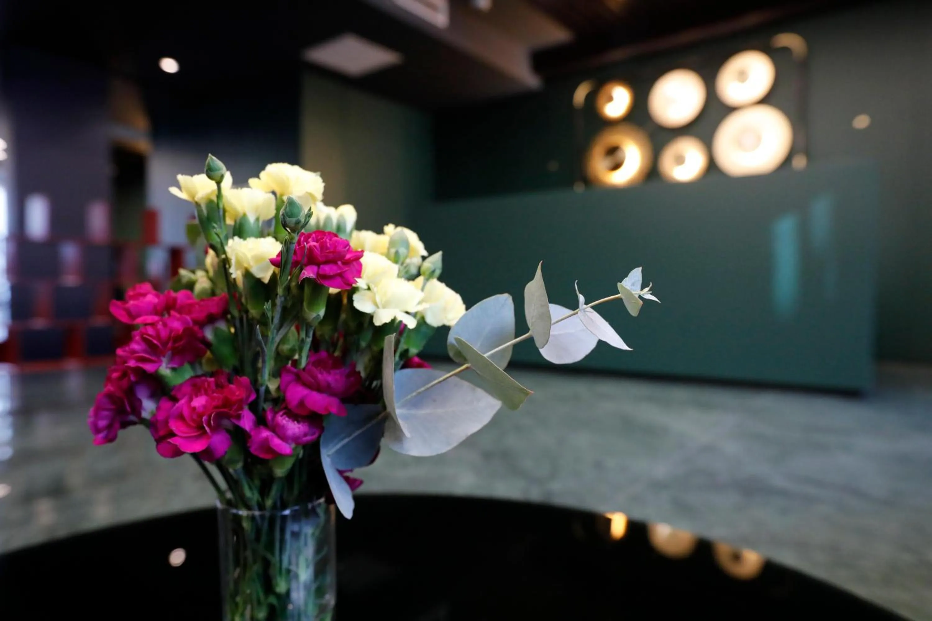 Area and facilities in Graf Hotel