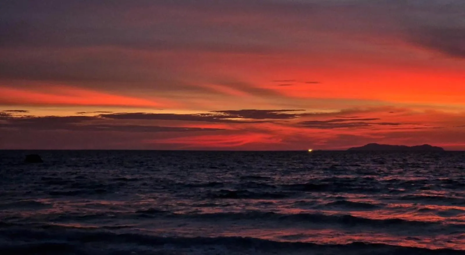Paradise Lost Bungalows