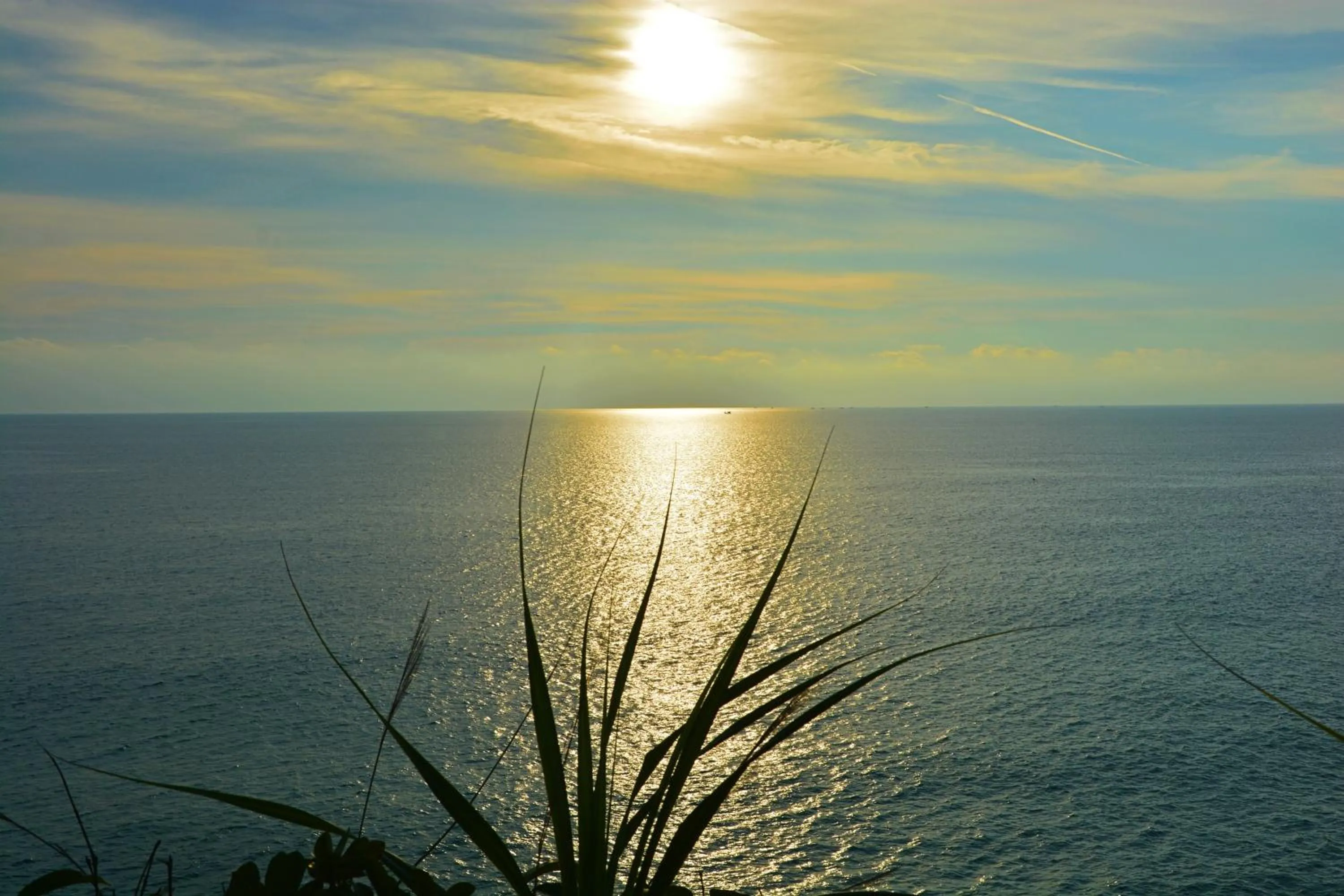 Paradise Lost Bungalows