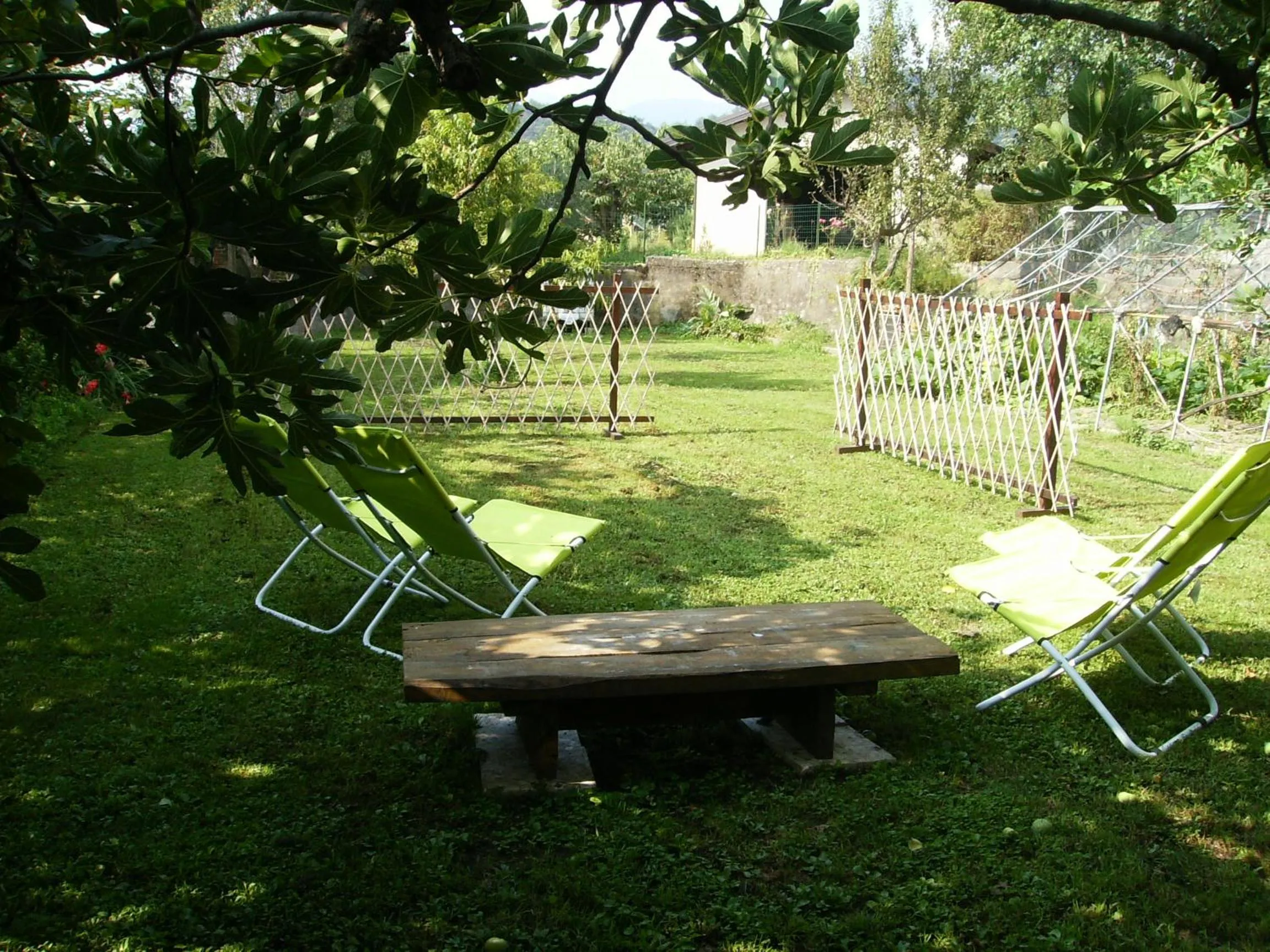 Il Barucin