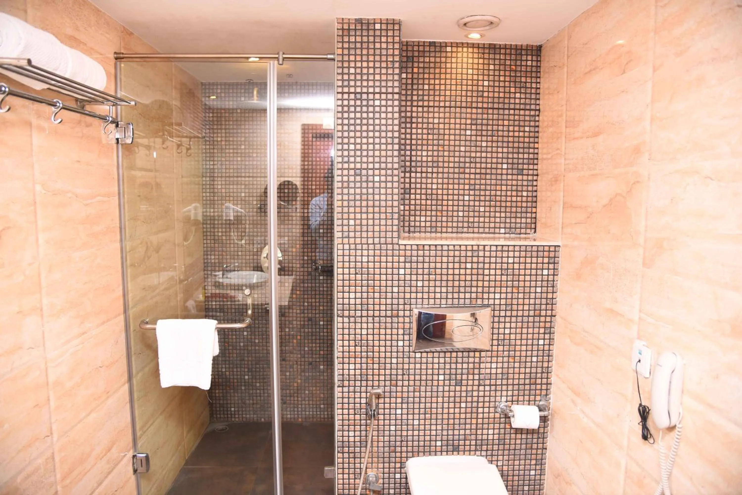 Bathroom in Celesta Hotel - Kolkata