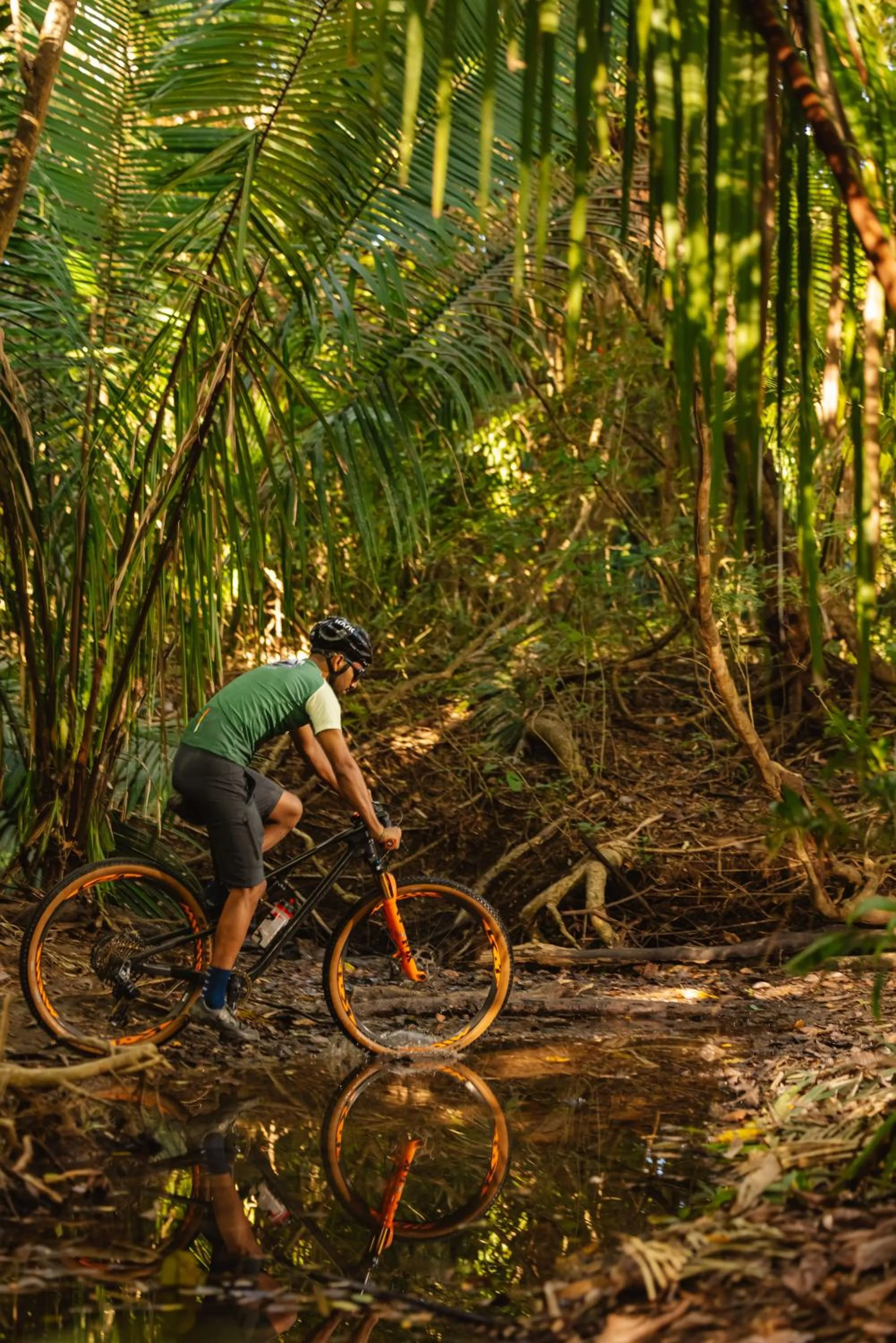 Natural landscape in The Gilded Iguana