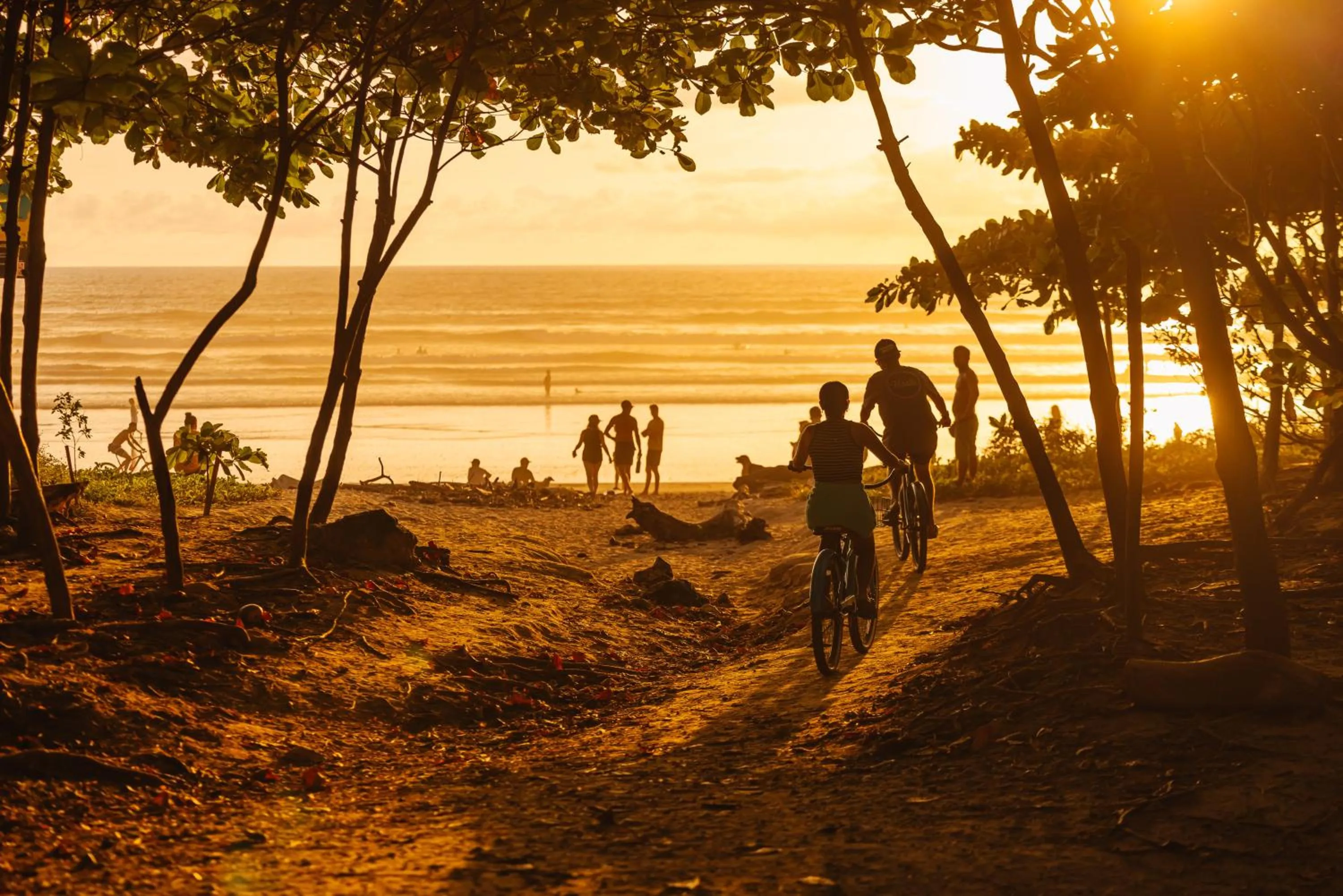 Sunset in The Gilded Iguana