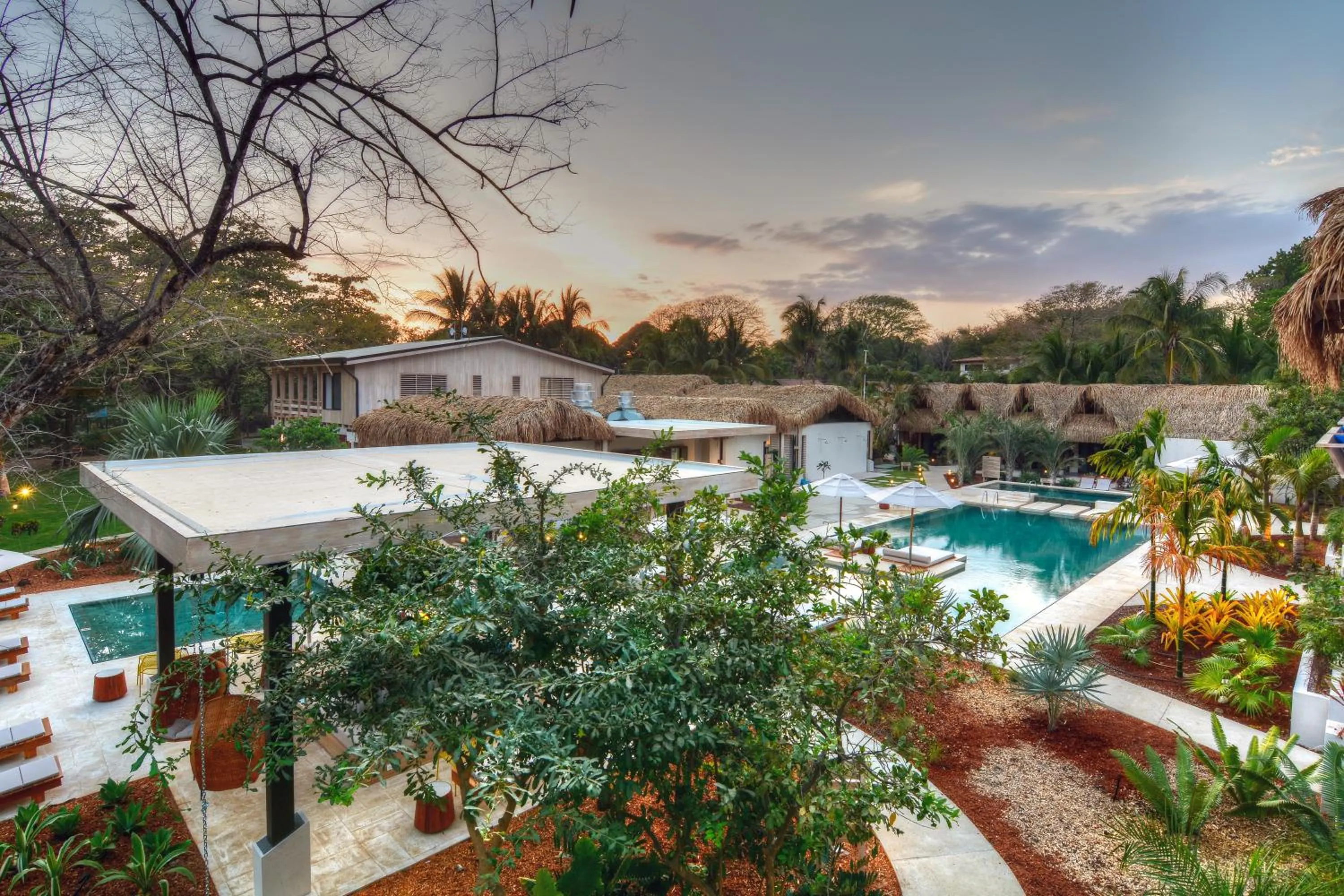 Bird's eye view in The Gilded Iguana