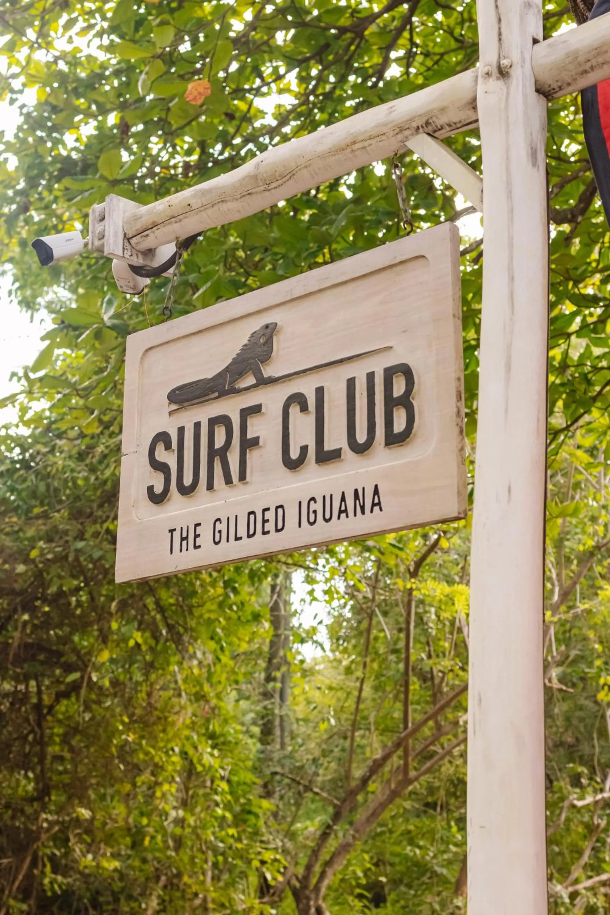 Property logo or sign in The Gilded Iguana