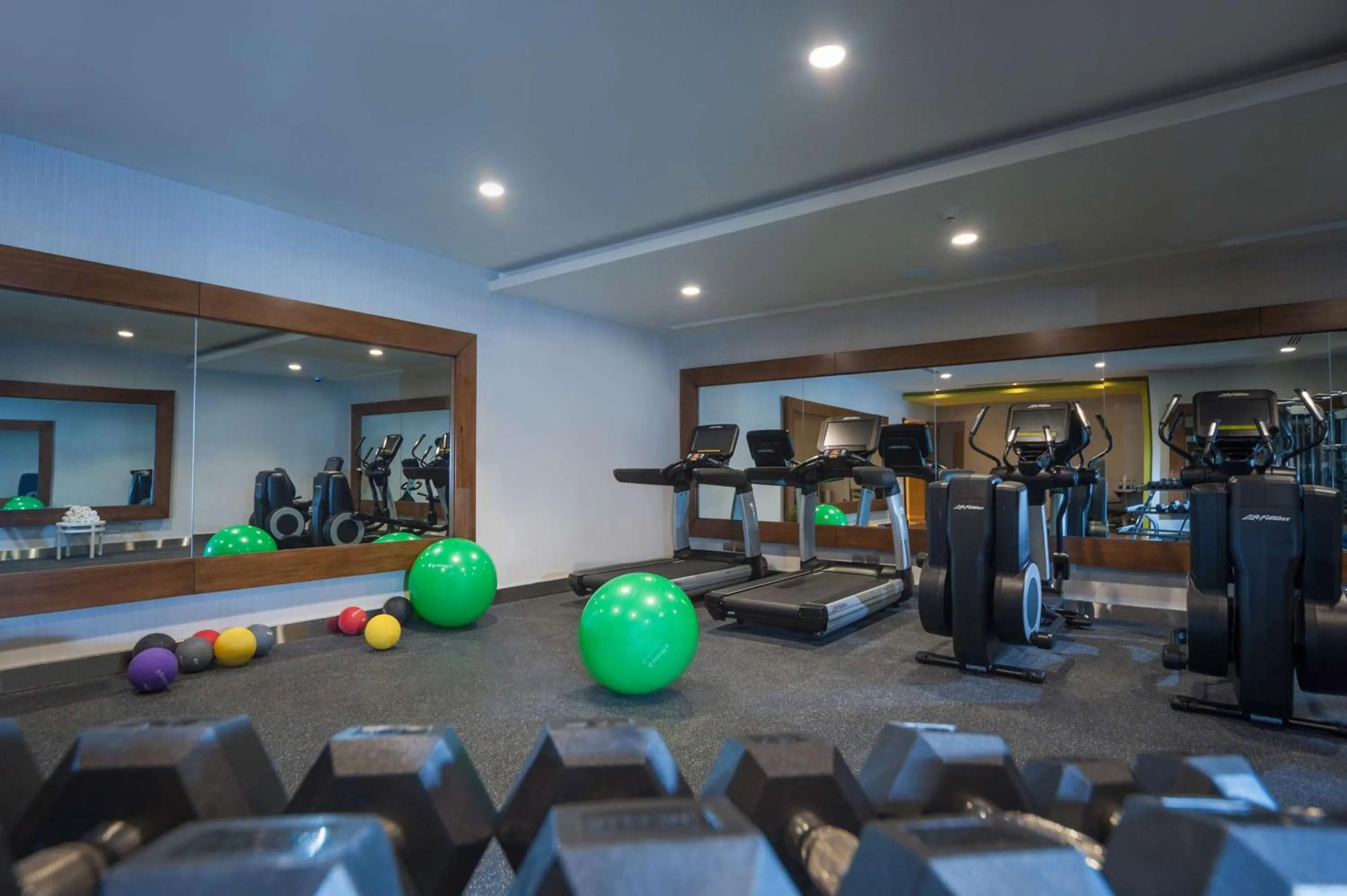 Fitness centre/facilities in Embassy Suites by Hilton Santo Domingo