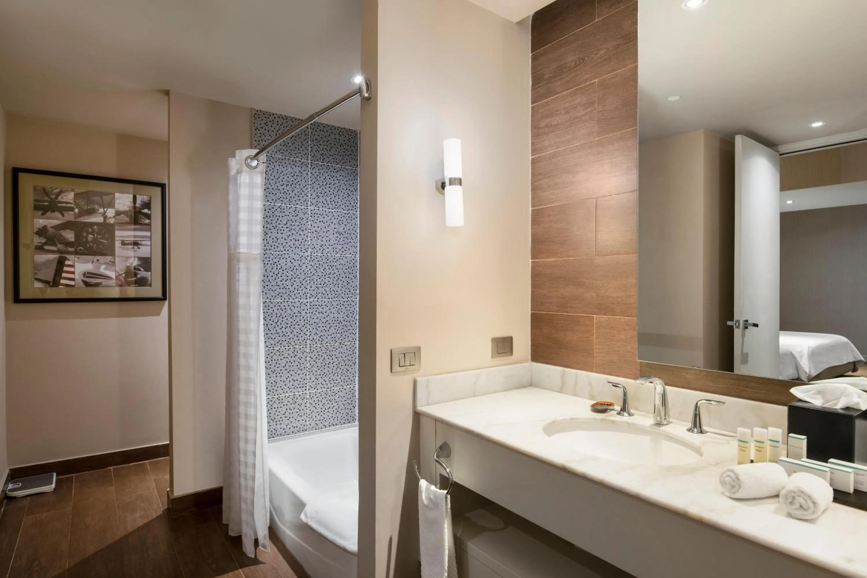 Bathroom in Embassy Suites by Hilton Santo Domingo