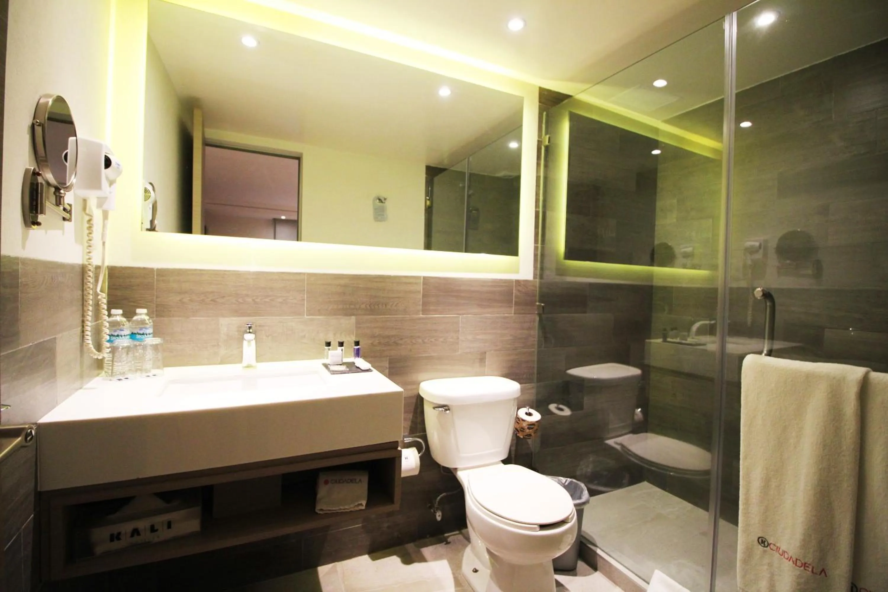 Toilet in KALI Ciudadela Mexico City