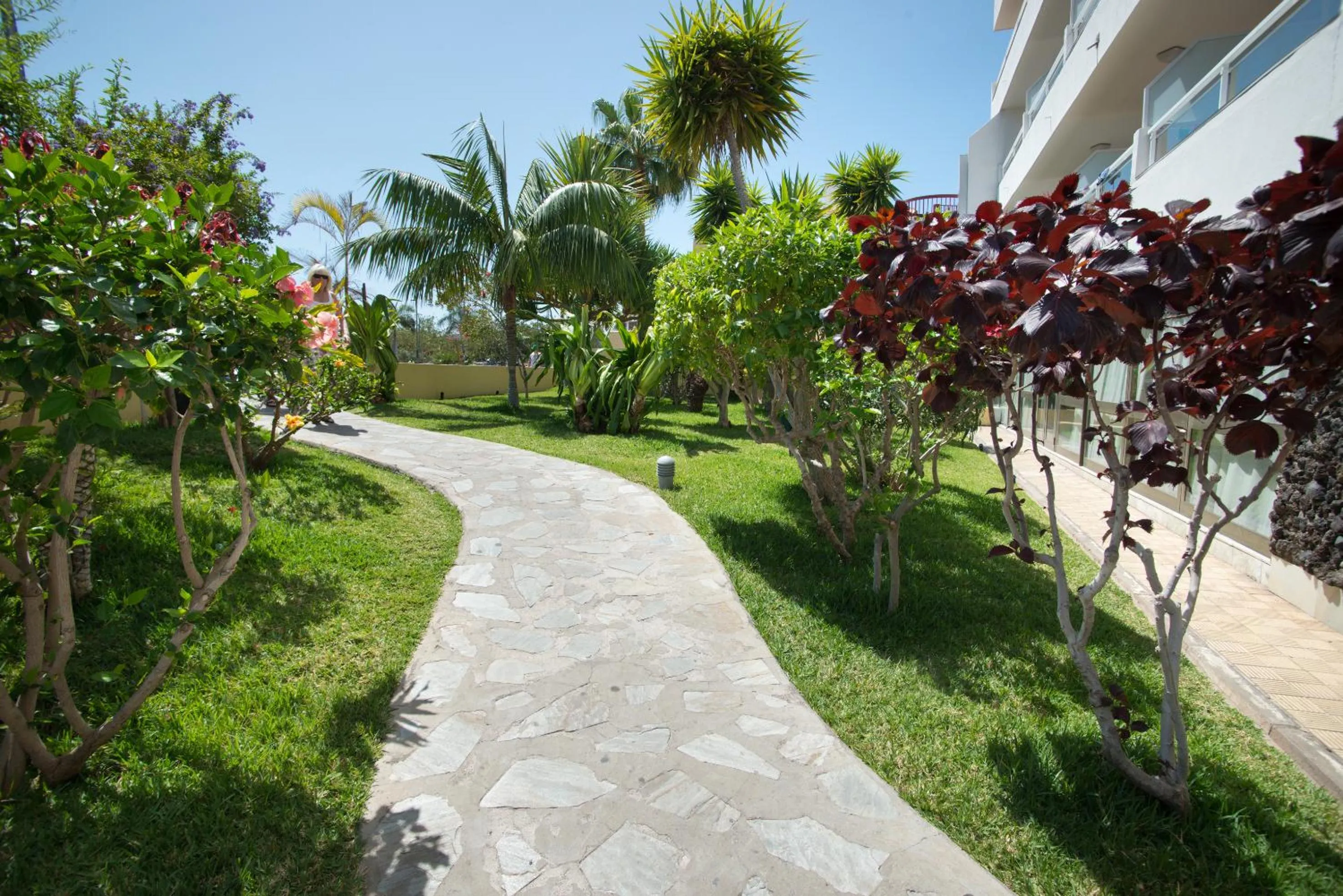 Garden in Catalonia Oro Negro