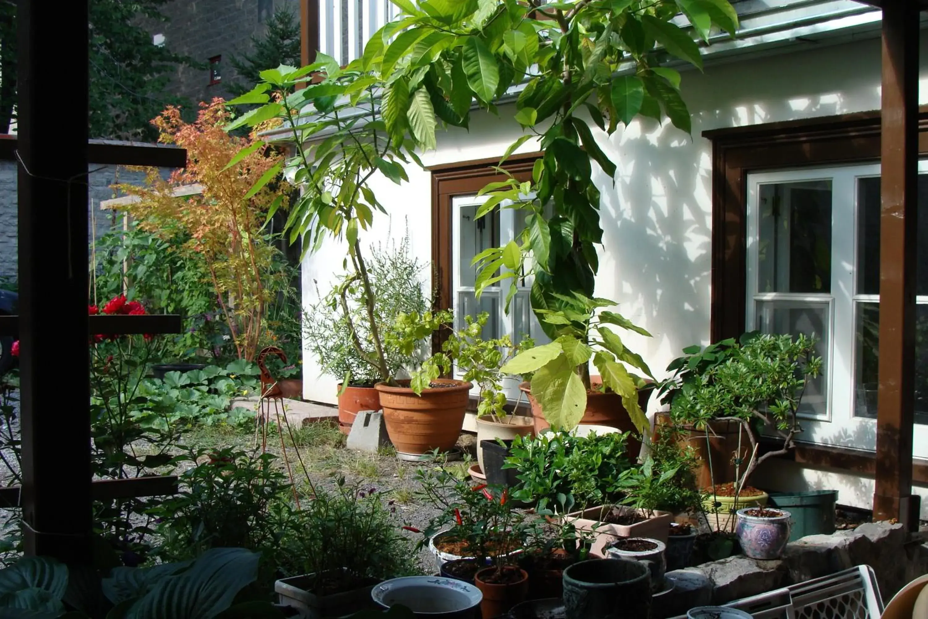 Studio in Au Petit Hôtel Studio in Au Petit Hôtel