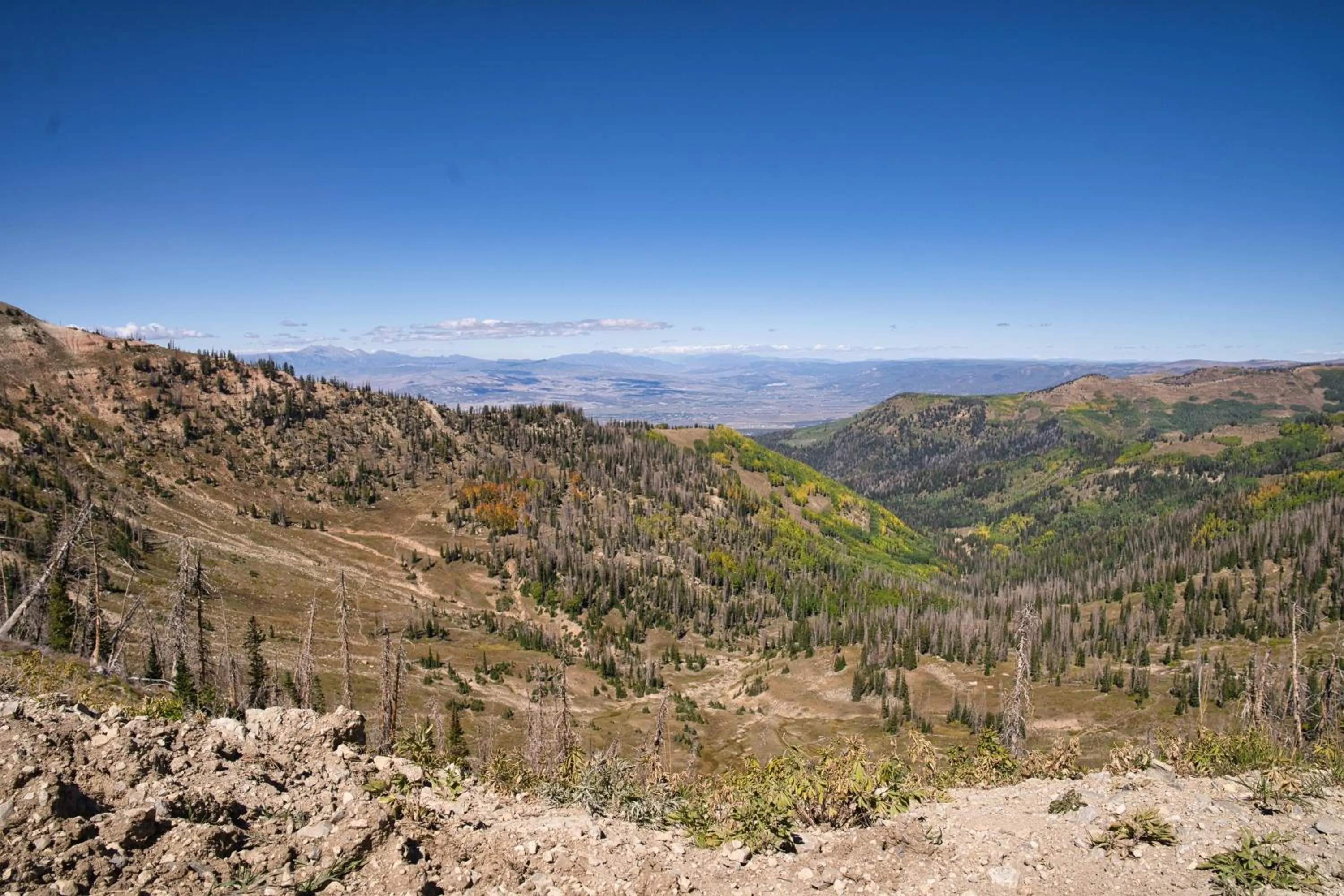 Other in Ranchette Ponderosa - The Timpanogos #1 at Wind Walker Homestead