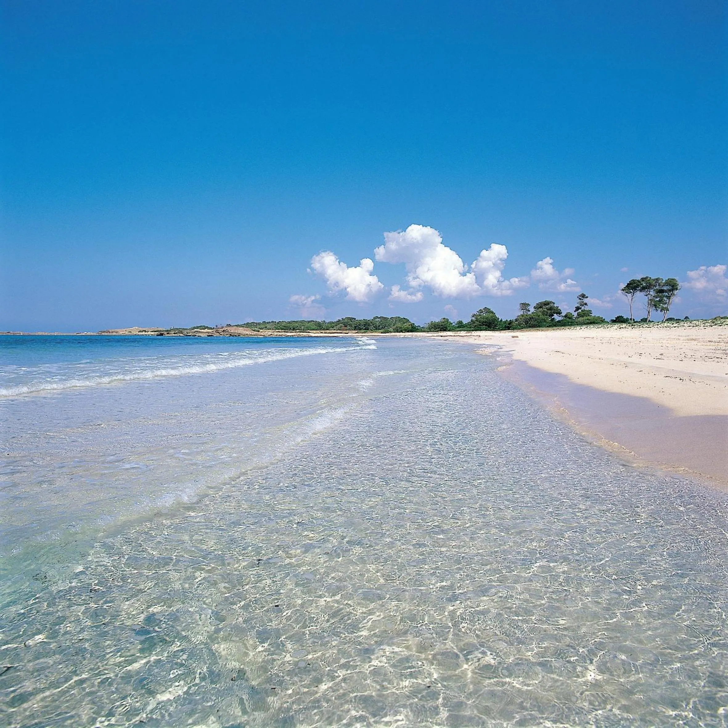 Beach in Sa Carrotja - Adults Only