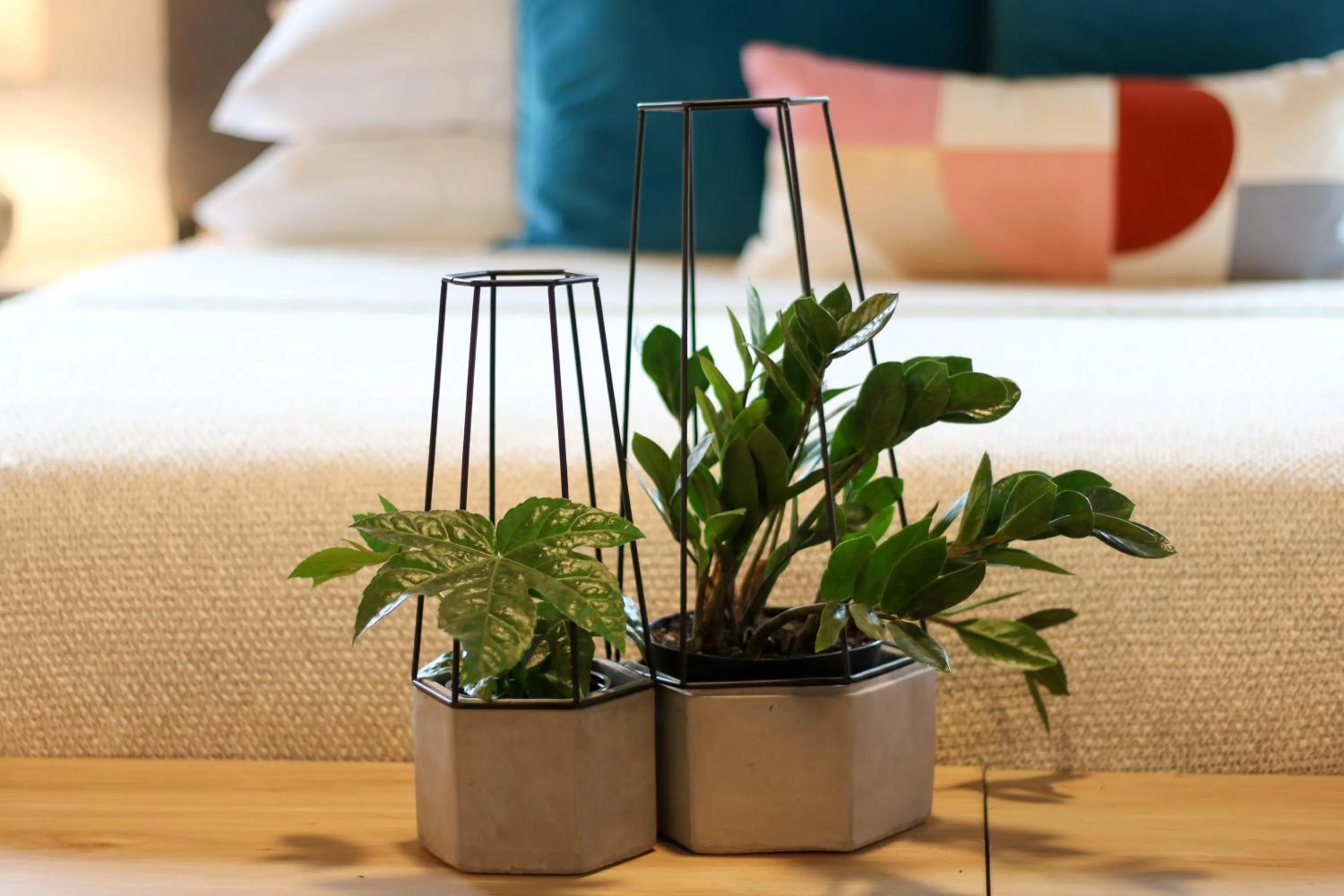 Guests in Stellar Suites