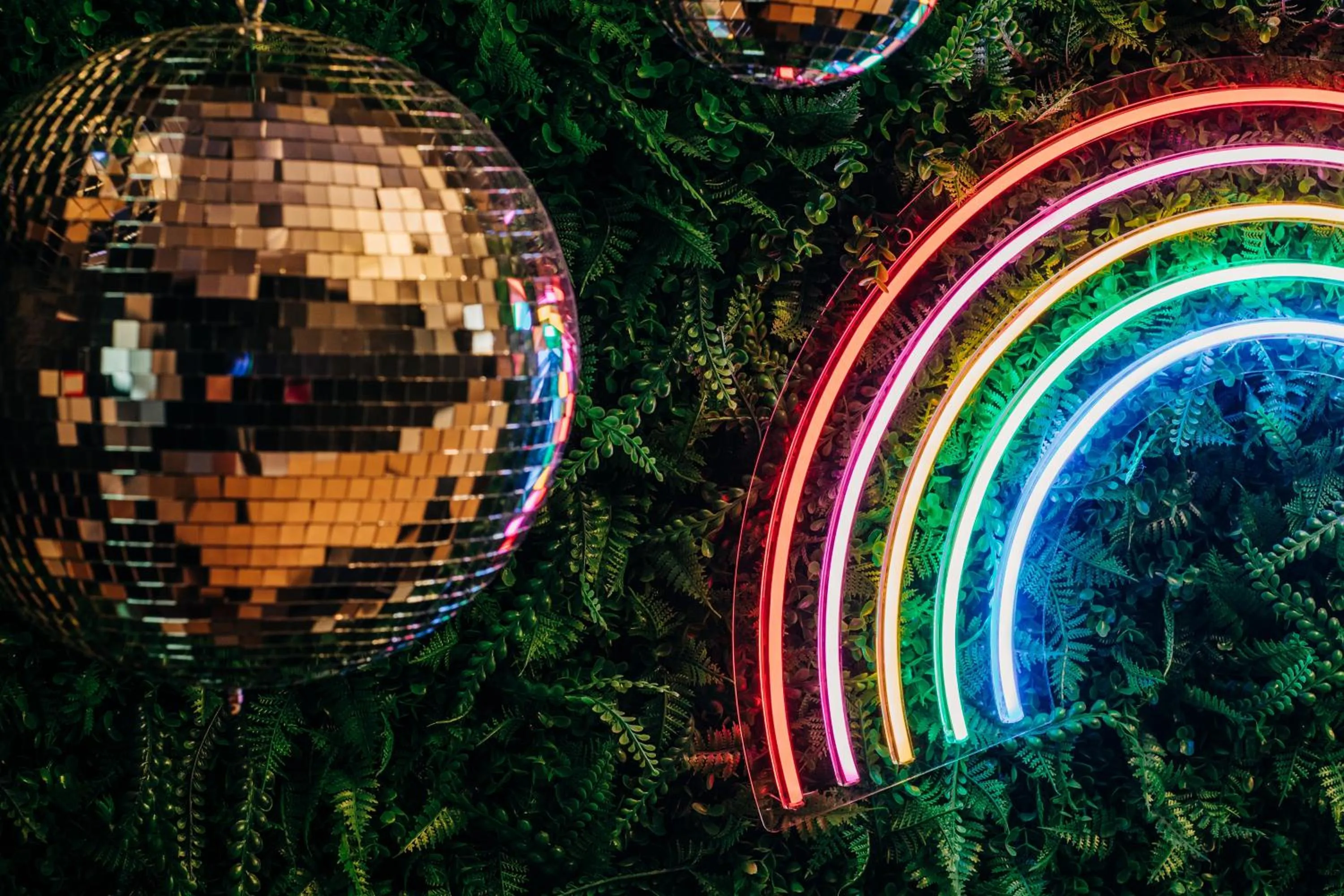 People in Stellar Suites