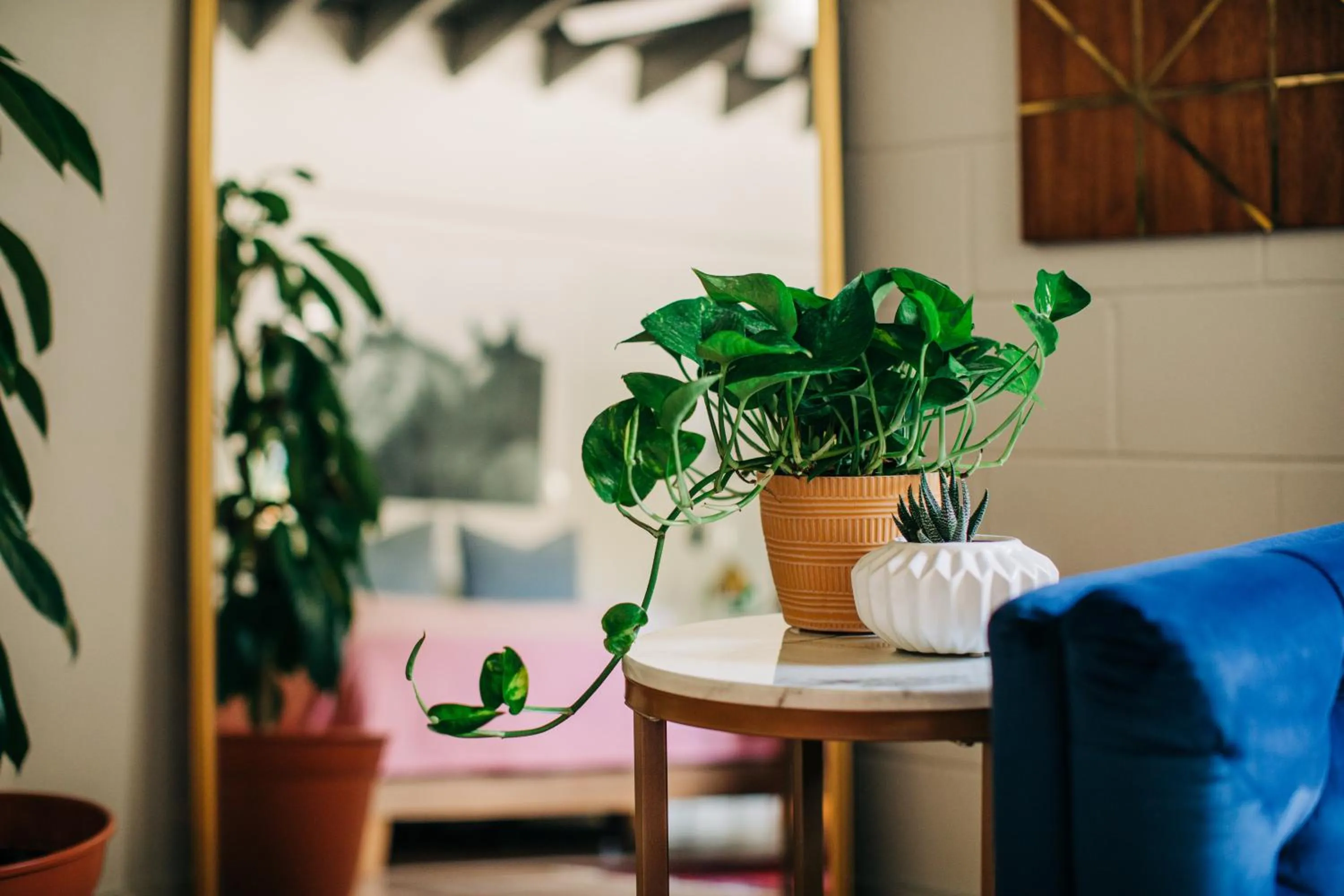 Seating area in Stellar Suites