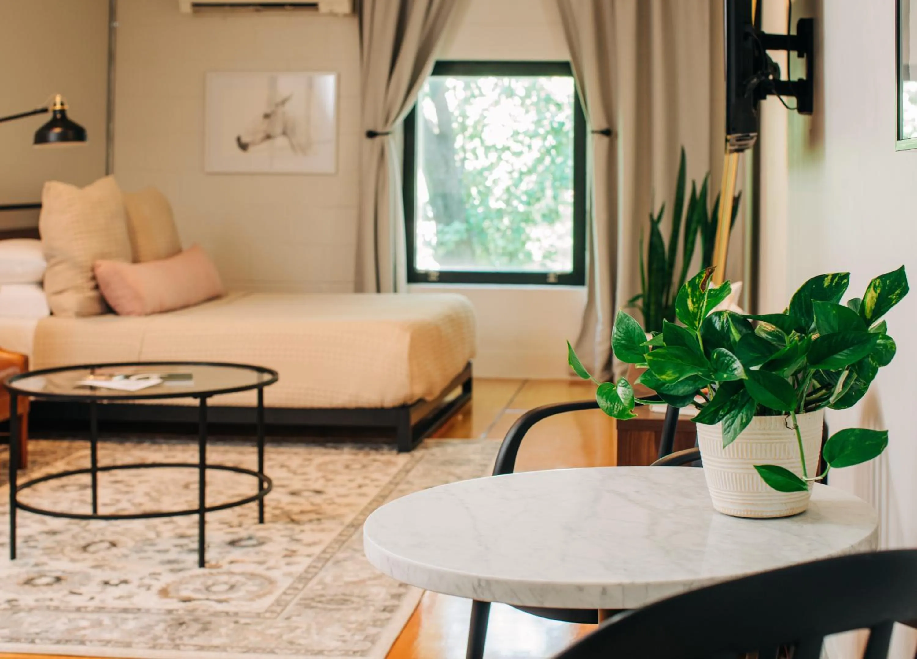 Photo of the whole room in Stellar Suites