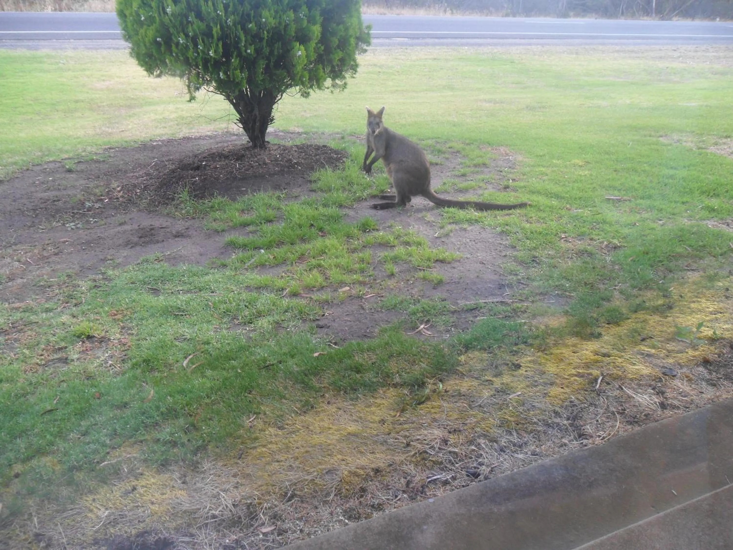 Facade/entrance in Motel Dimboola