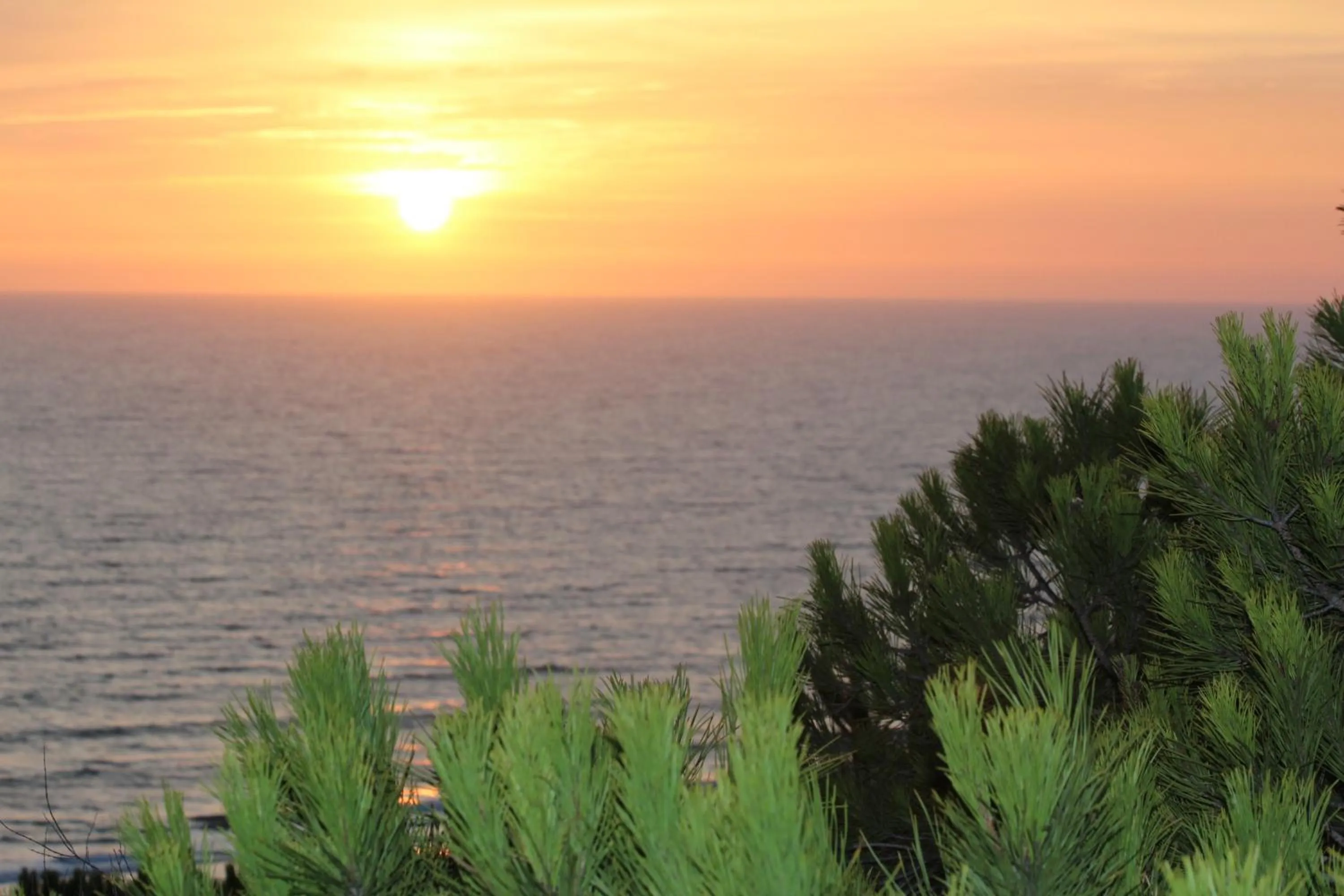 Natural landscape in Hotel Doñana Blues