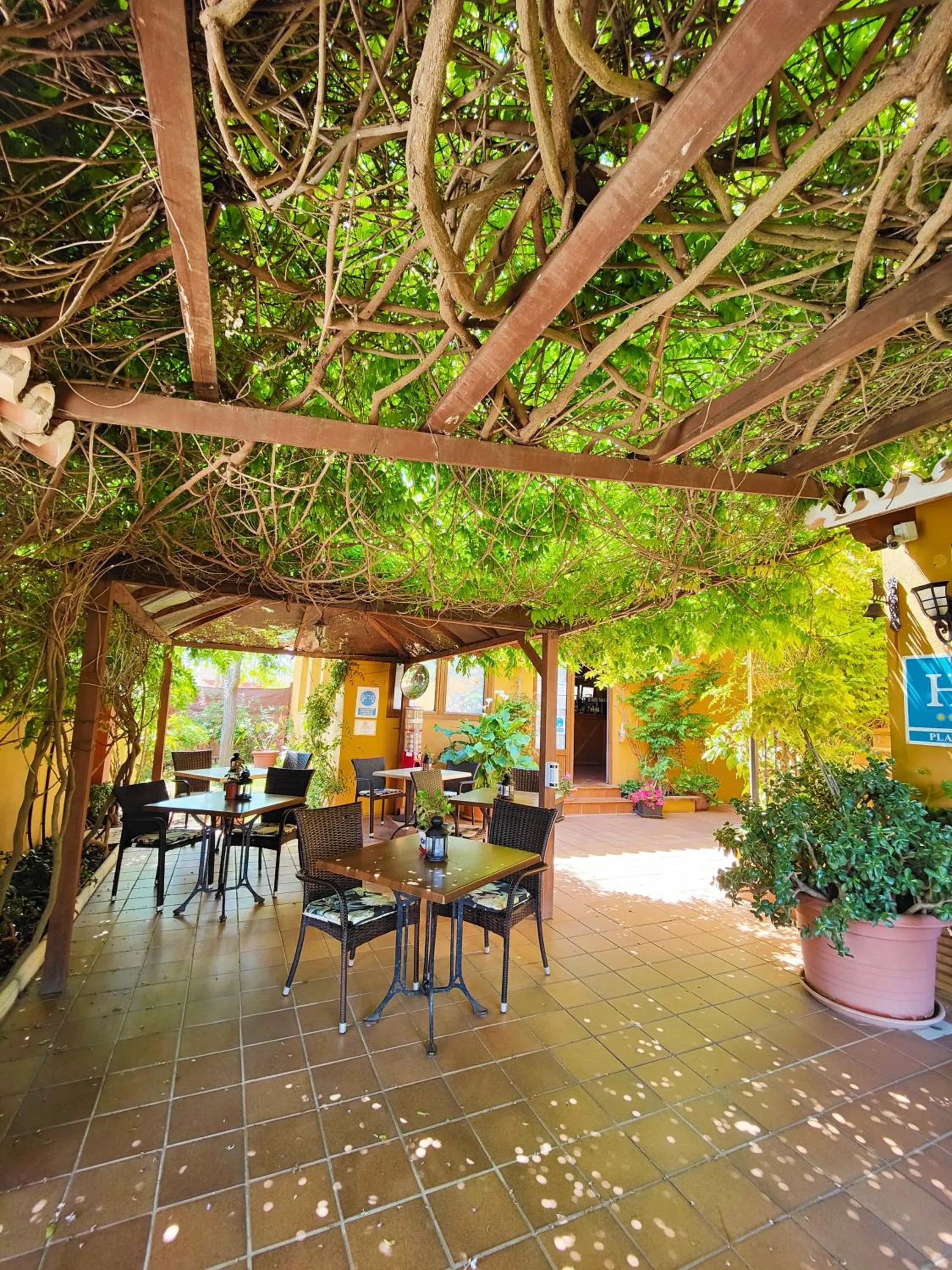 Restaurant/places to eat in Hotel Doñana Blues