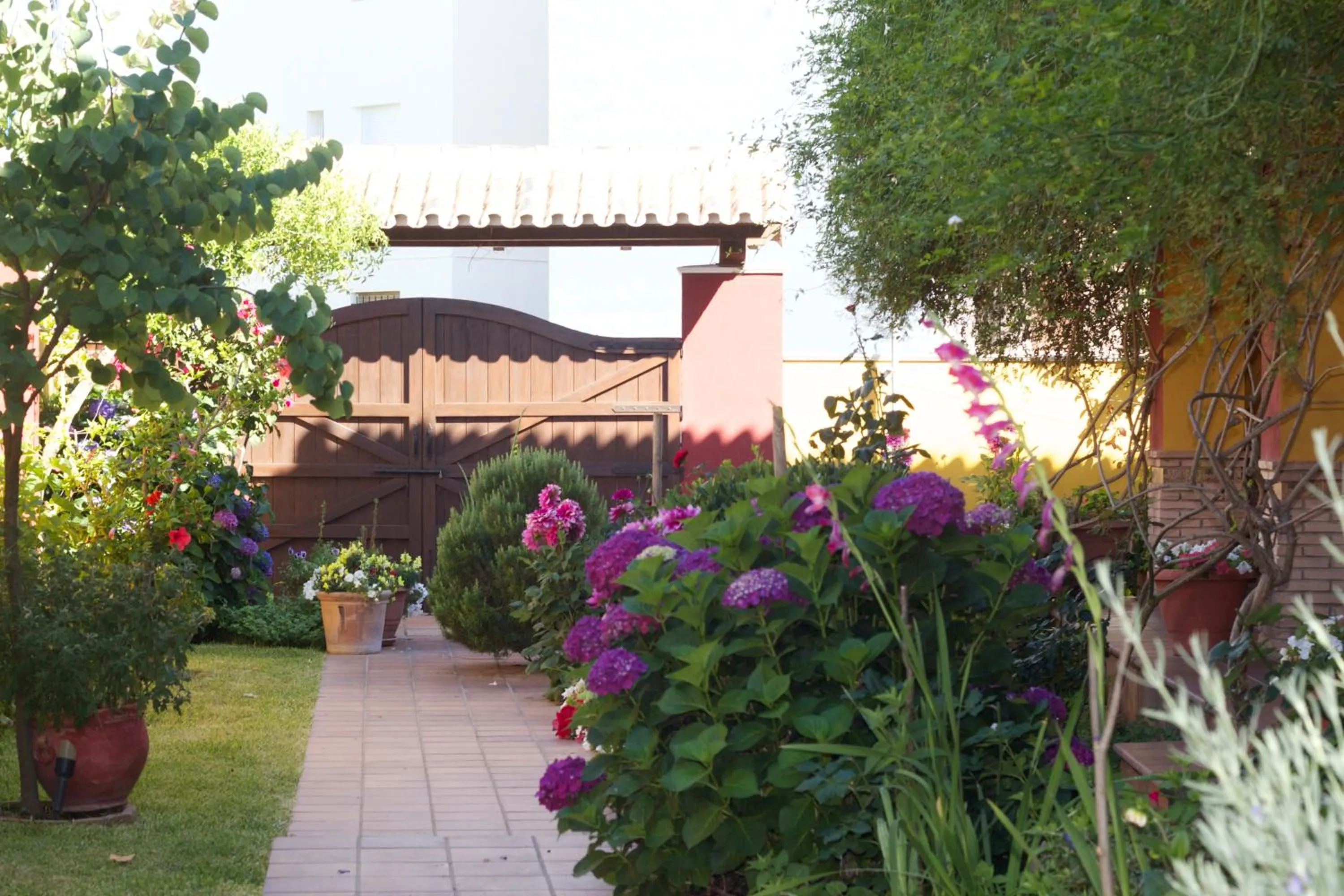 Garden in Hotel Doñana Blues