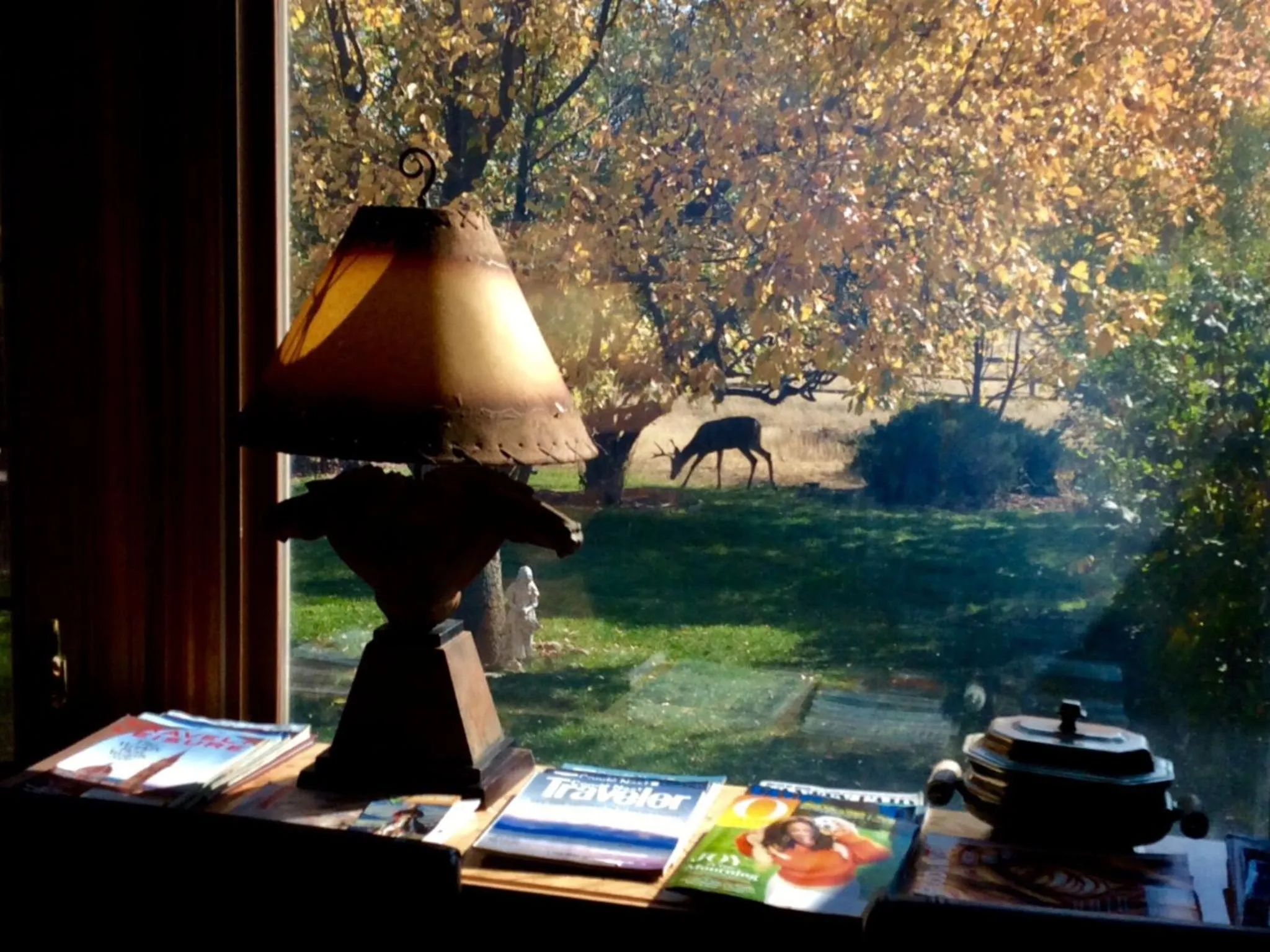 Property building in Yellowstone Cattle Baron EnSuite, Private Entrance & Parking - Prairie Rose B&B