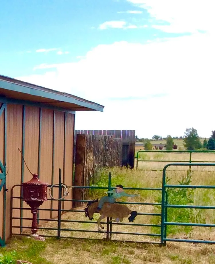 Property building in Yellowstone Cattle Baron EnSuite, Private Entrance & Parking - Prairie Rose B&B