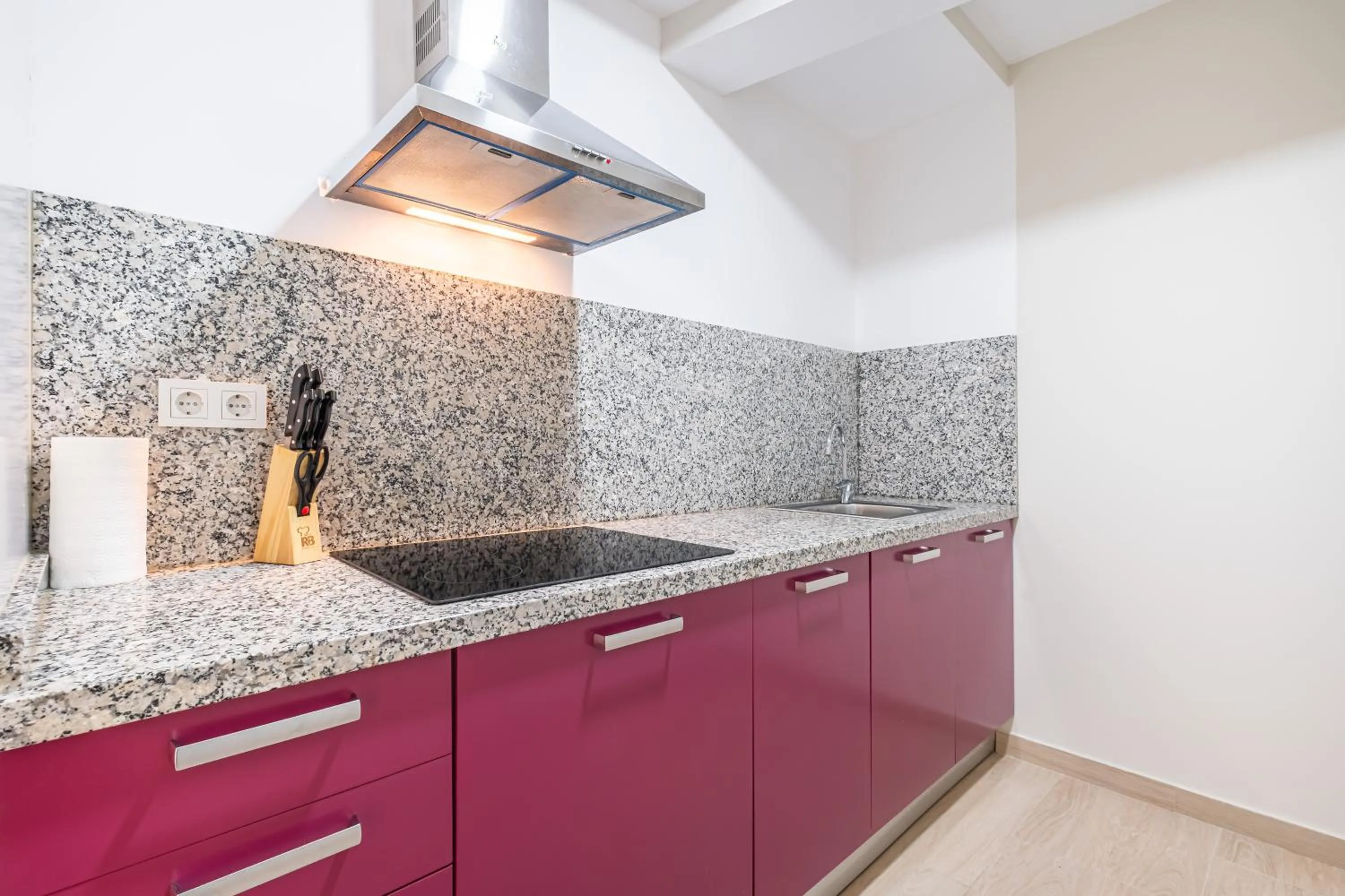 Kitchen or kitchenette in Apartamentos La Rosita Old Town