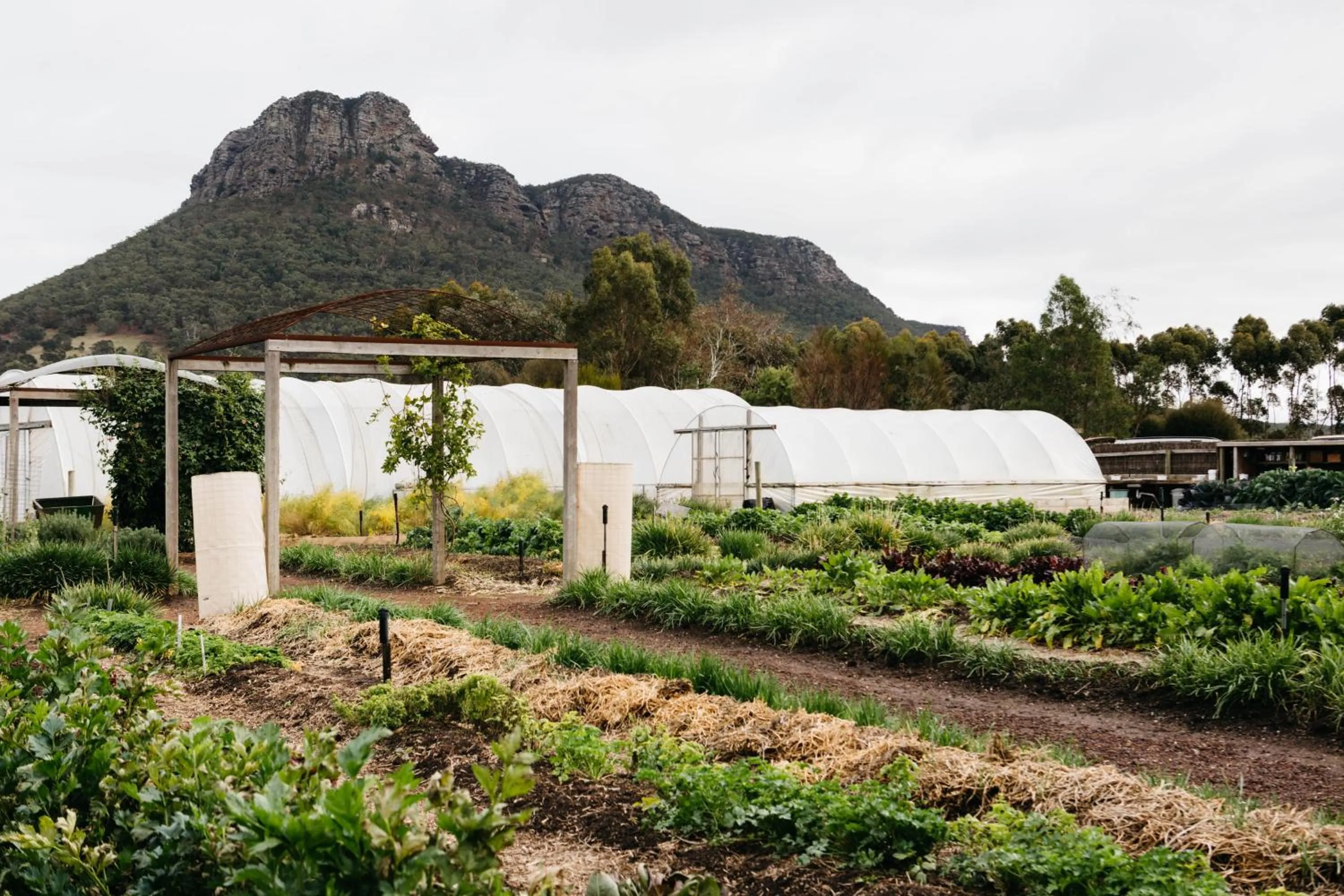 Garden in Royal Mail Hotel
