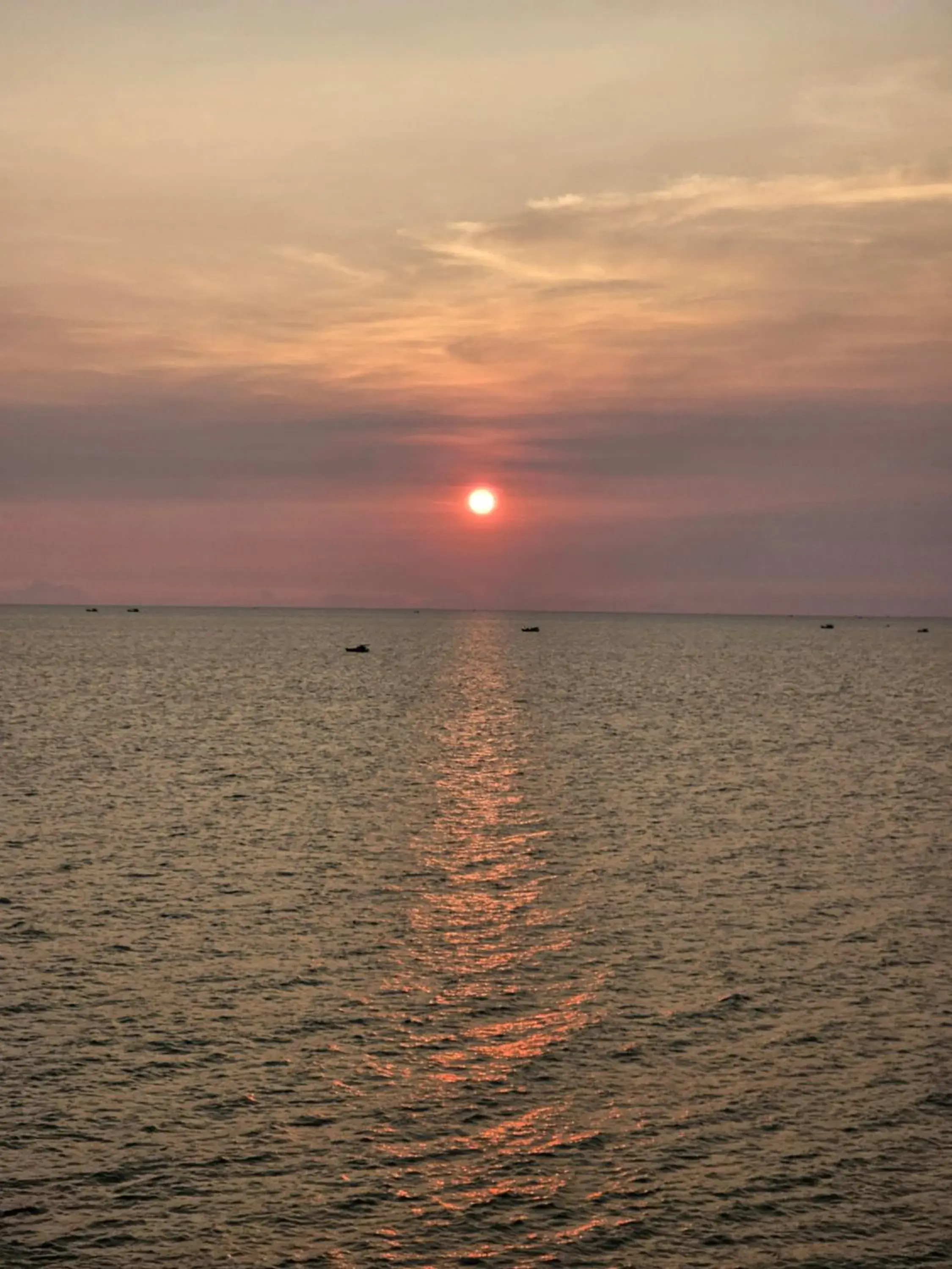 Natural landscape in Venus Phu Quoc Hotel Natural landscape in Venus Phu Quoc Hotel