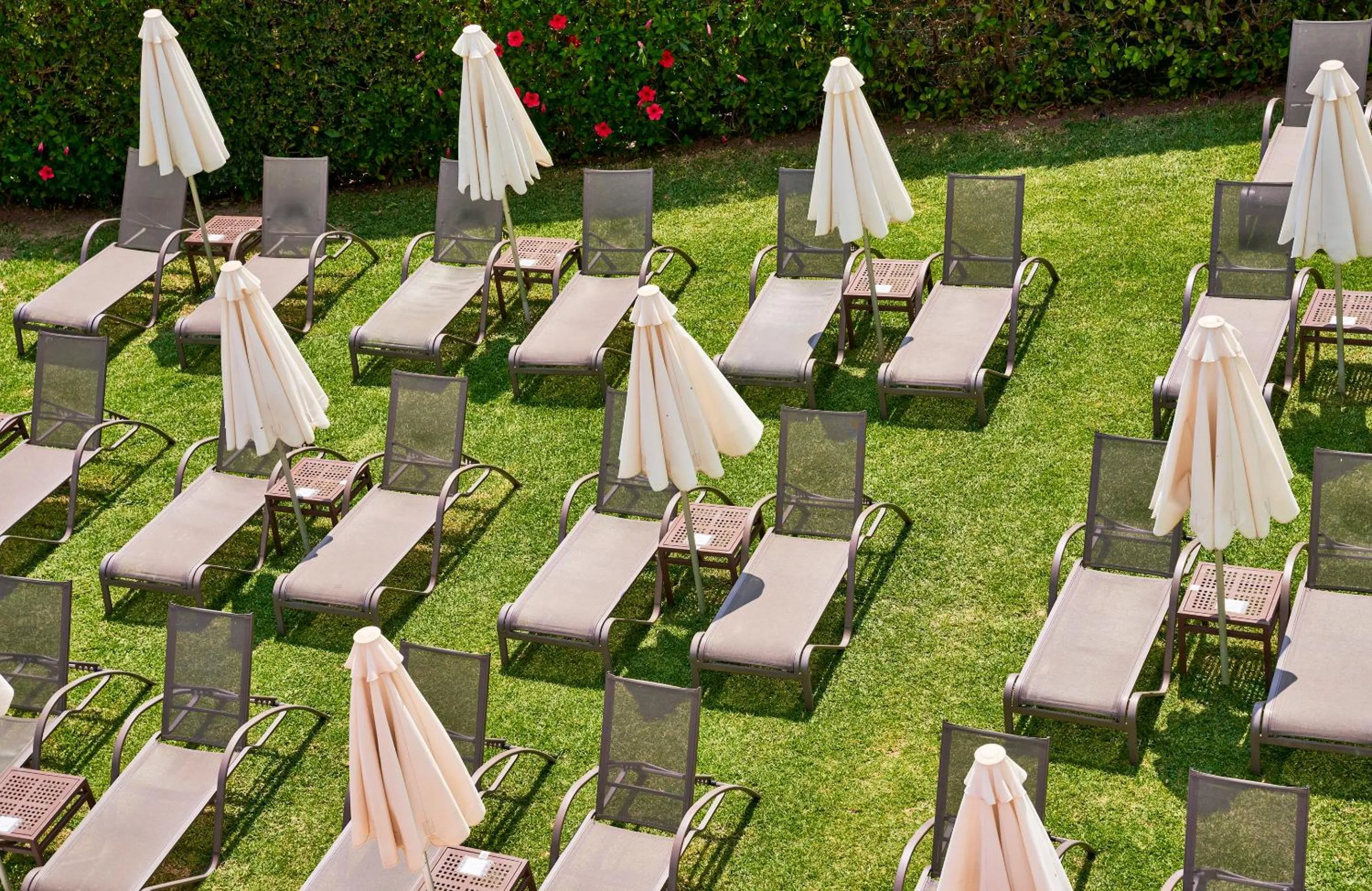 Swimming pool in Hotel Serrano Palace