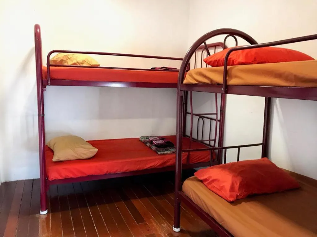 Bunk Bed in Female Dormitory Room   in QuiikCat